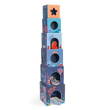 Achat Mes premiers jouets Cubes Empilables - Les Aventures Paulie