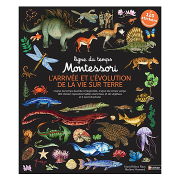 Achat Livres Ligne du Temps Montessori - L'arrivée et l'Evolution de la Vie sur Terre