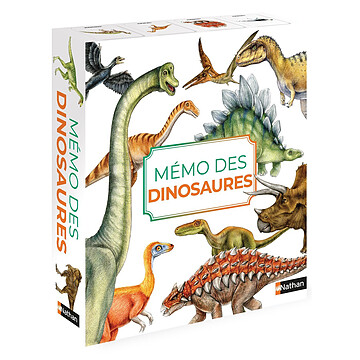 Achat Mes premiers jouets Mémo des Dinosaures