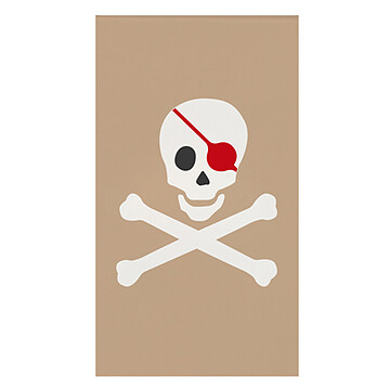 Achat Livres Carnet Pirate