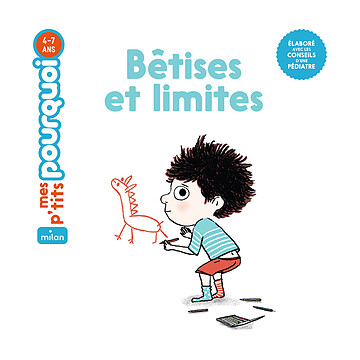 Achat Livres Bêtises et Limites