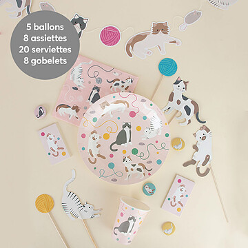 Achat Objet décoration Kit de Vaisselle d'Anniversaire - Chat