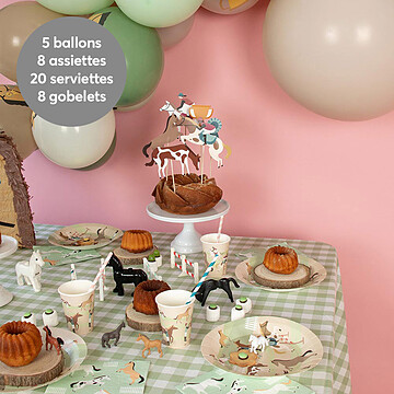 Achat Objet décoration Kit de Vaisselle d'Anniversaire - Cheval