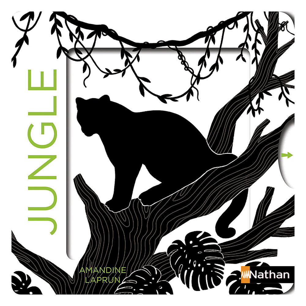 Jungle Nathan Editions
