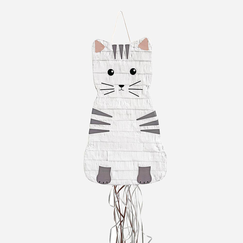 Pinata Chat My Little Day