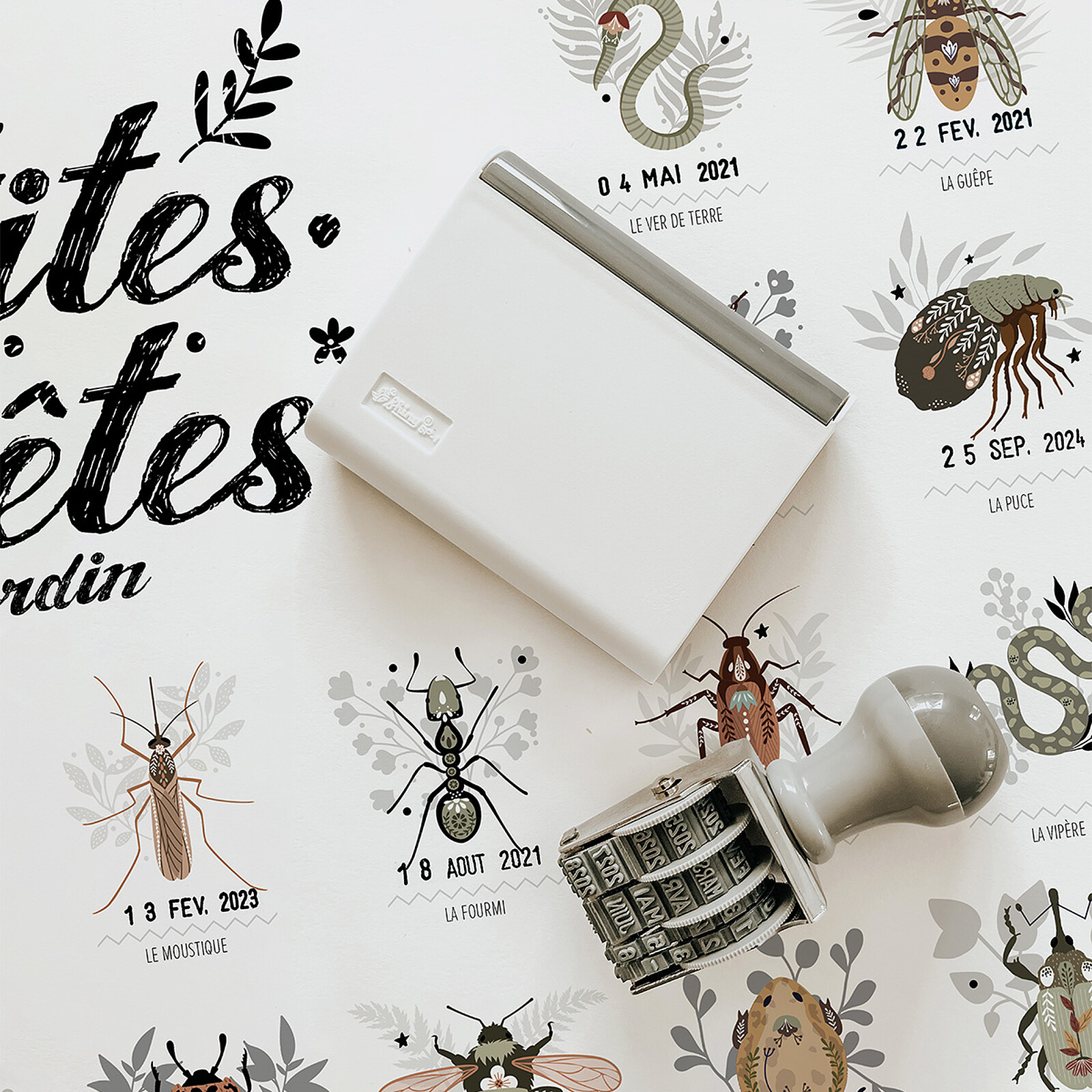 Avis Affiche Les Petites Bêtes du Jardin - 50 x 40 cm