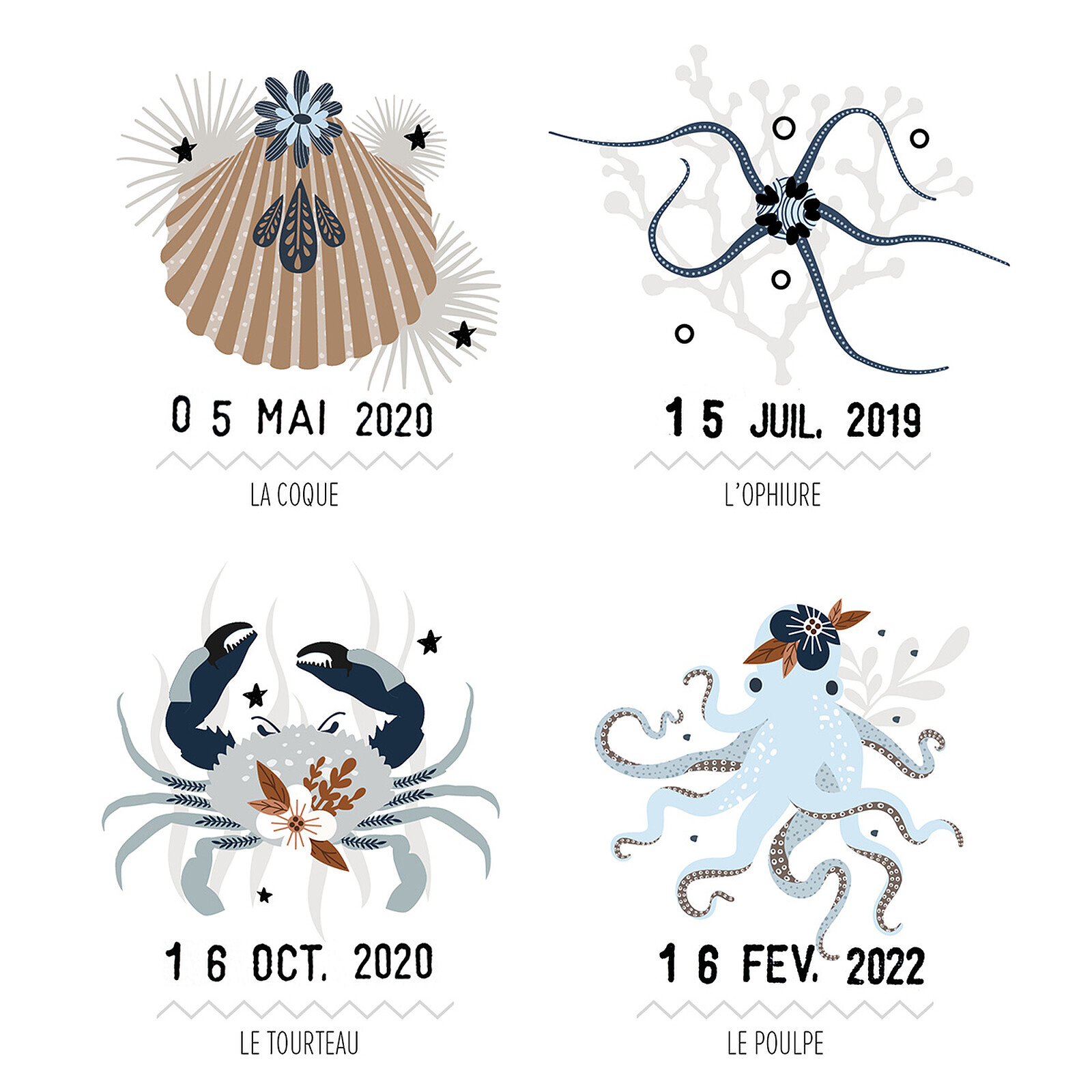 Affiche Les Petites Bêtes de la Mer - 50 x 40 cm Les Petites Dates