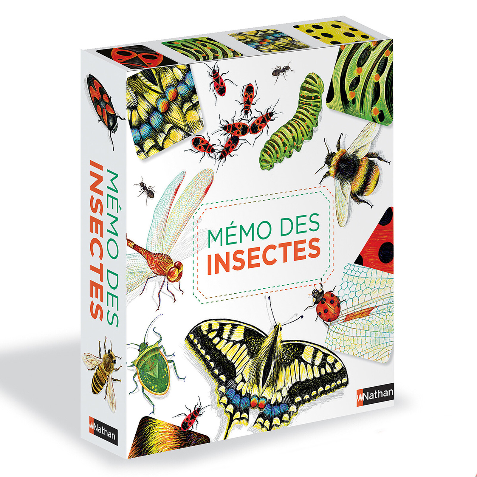 Mémo des Insectes (Nathan Editions) - Couverture