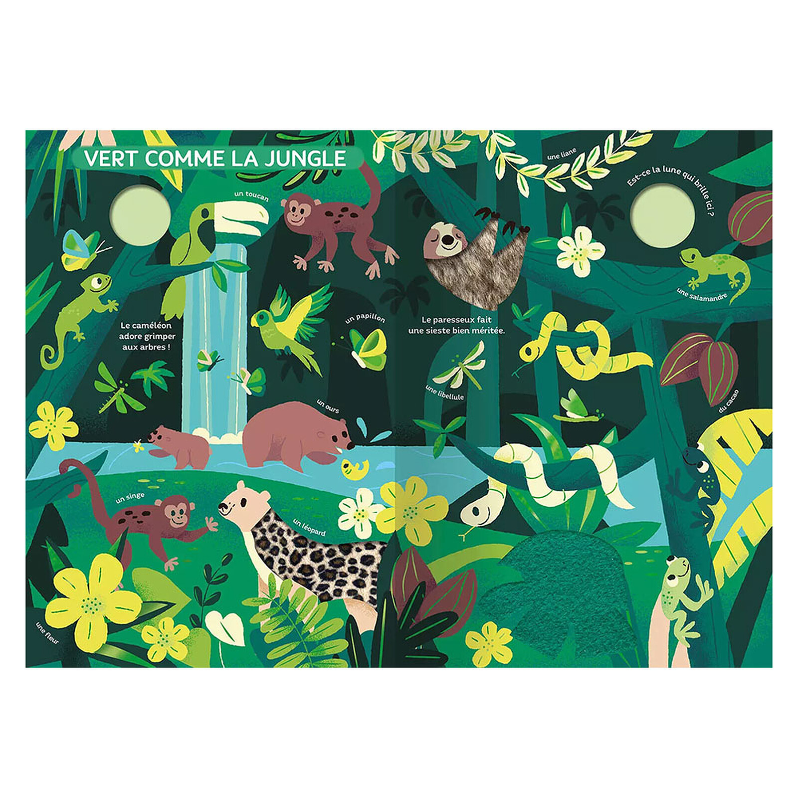 Mon Très Grand Livre d'Eveil - Le Monde des Couleurs Auzou