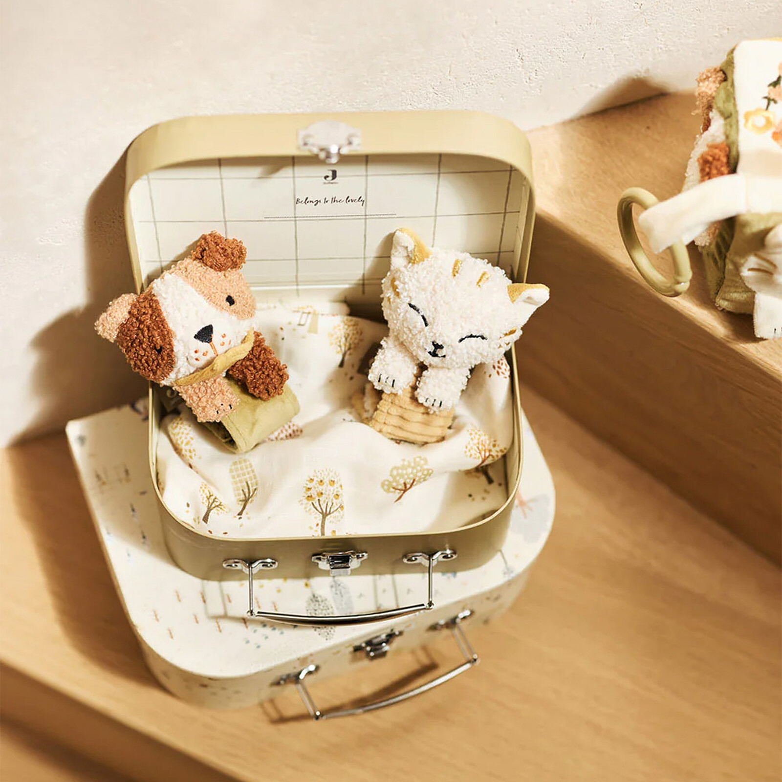 Avis Hochet Main et Pied - Mick Dog