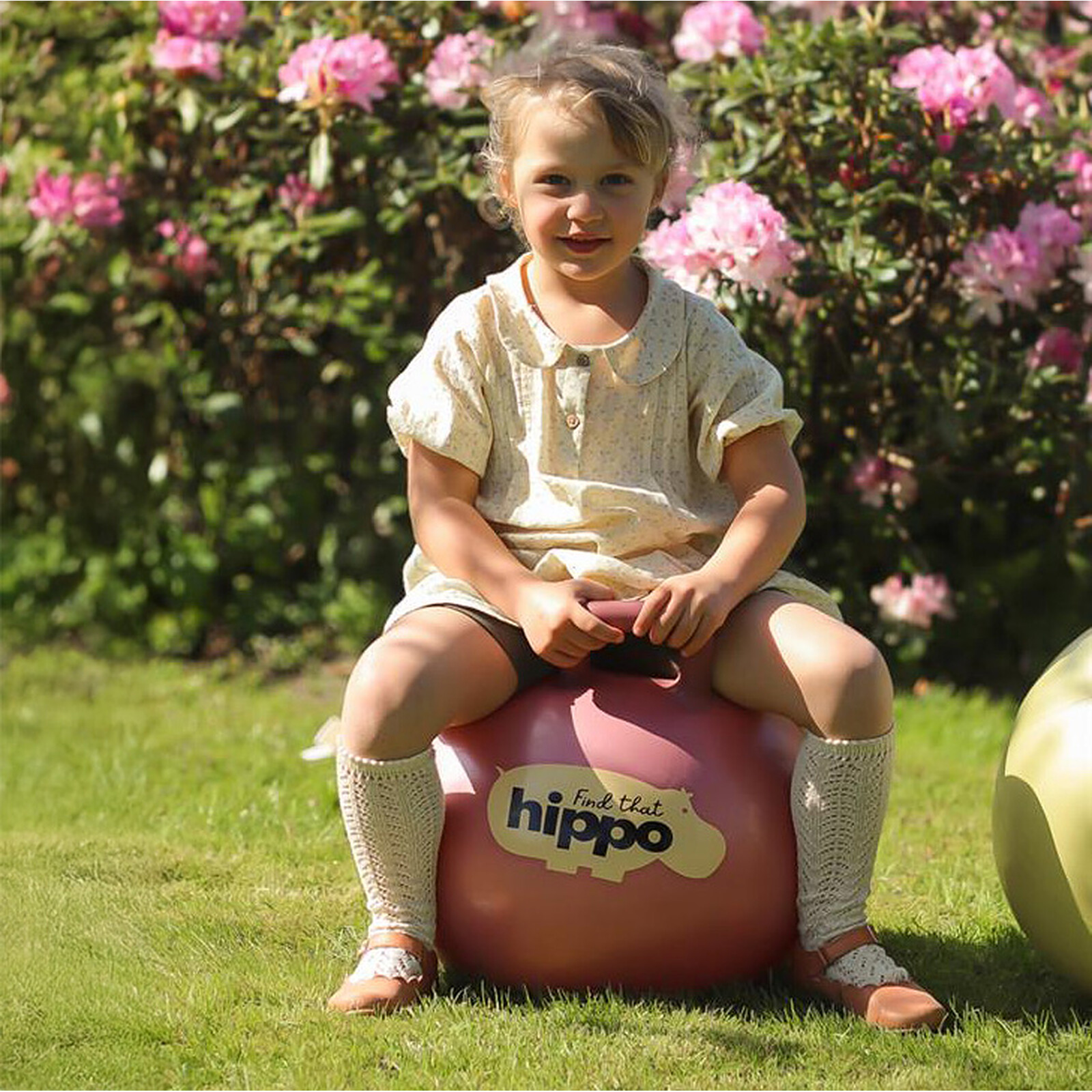 Avis Ballon Sauteur - Rose