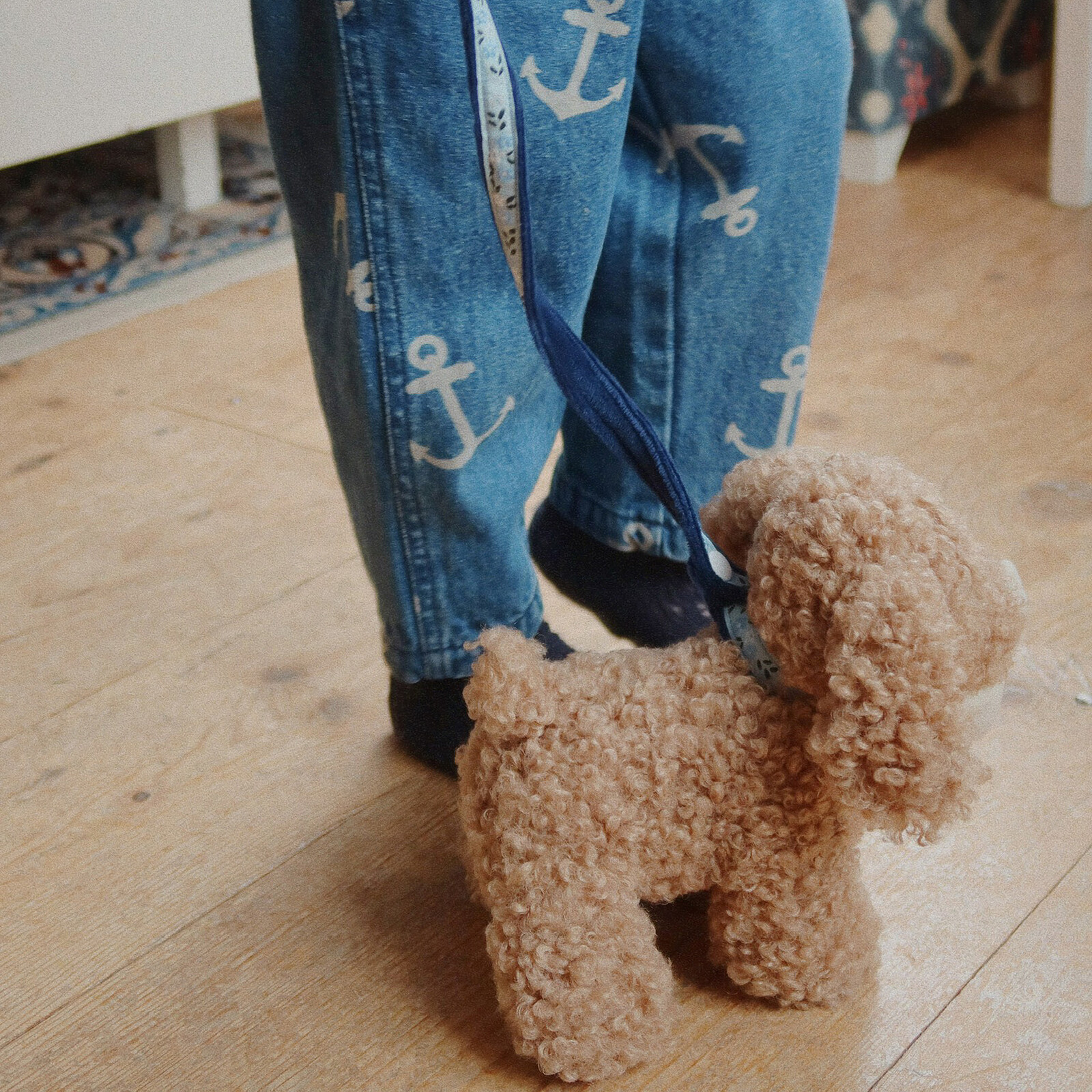 Chiot Lulu - Multi pas cher