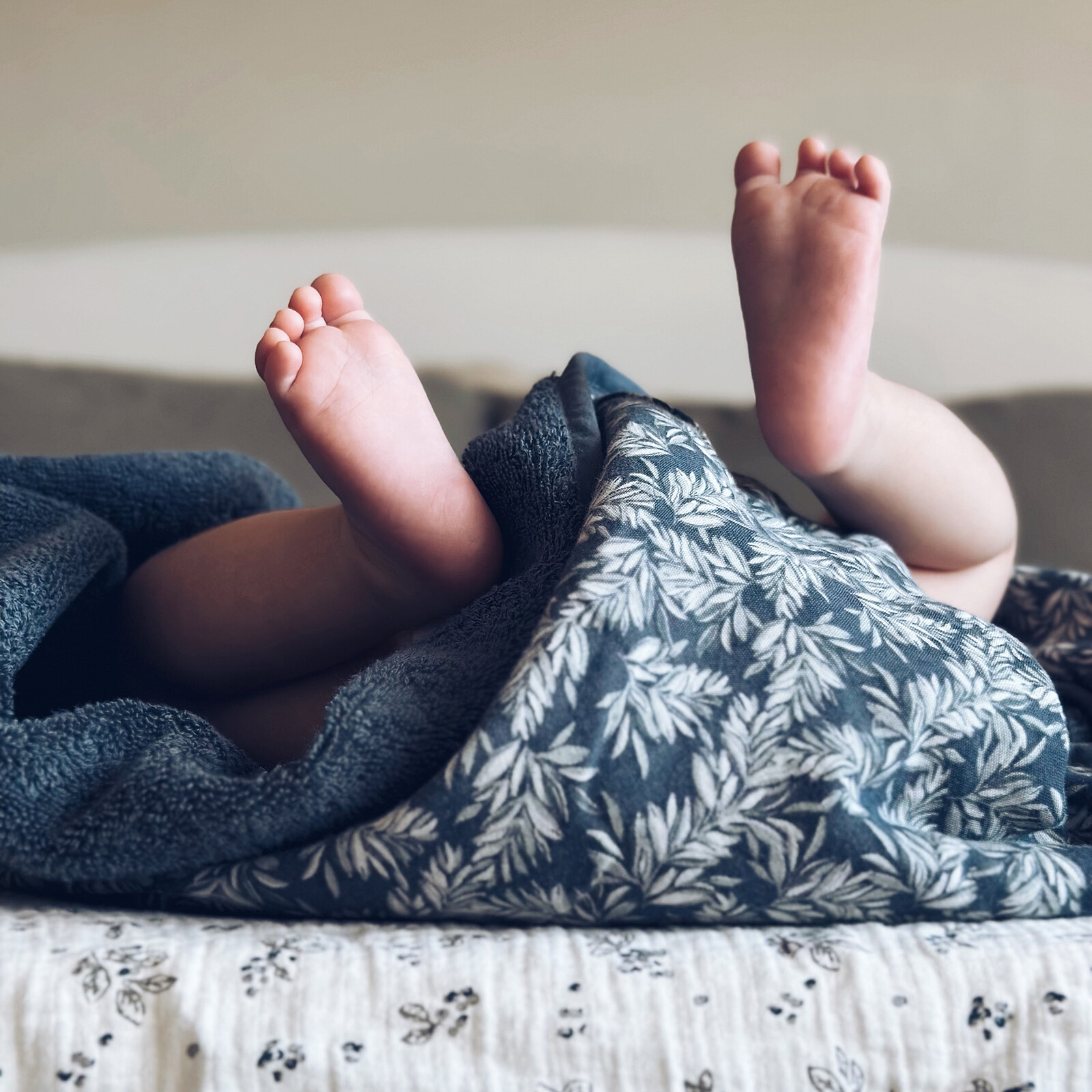 Avis Cape de Bain - Wild Sage