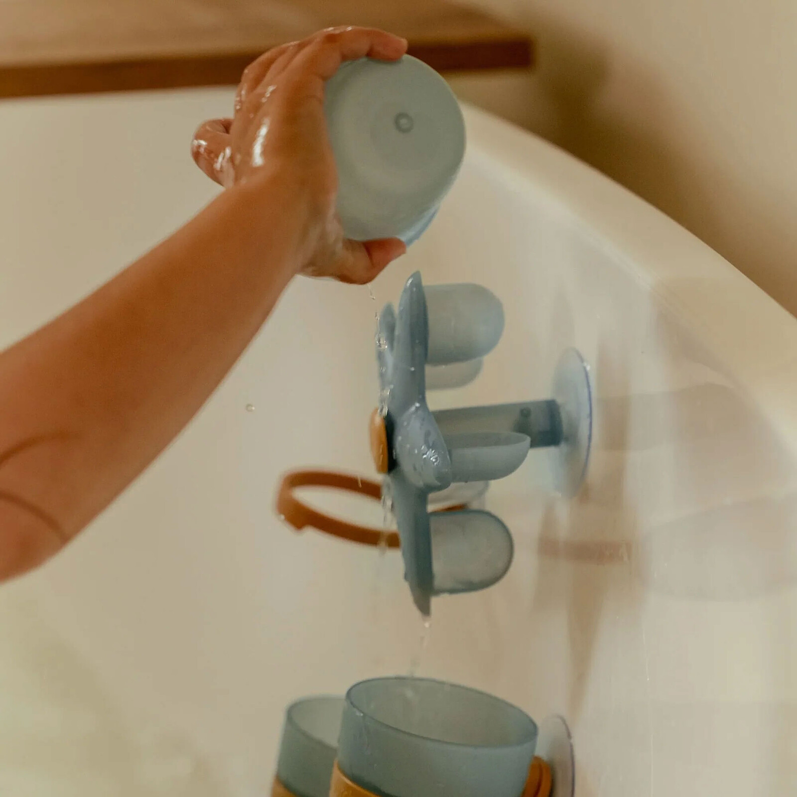 Achat Gobelets de Bain - Etoile de Mer