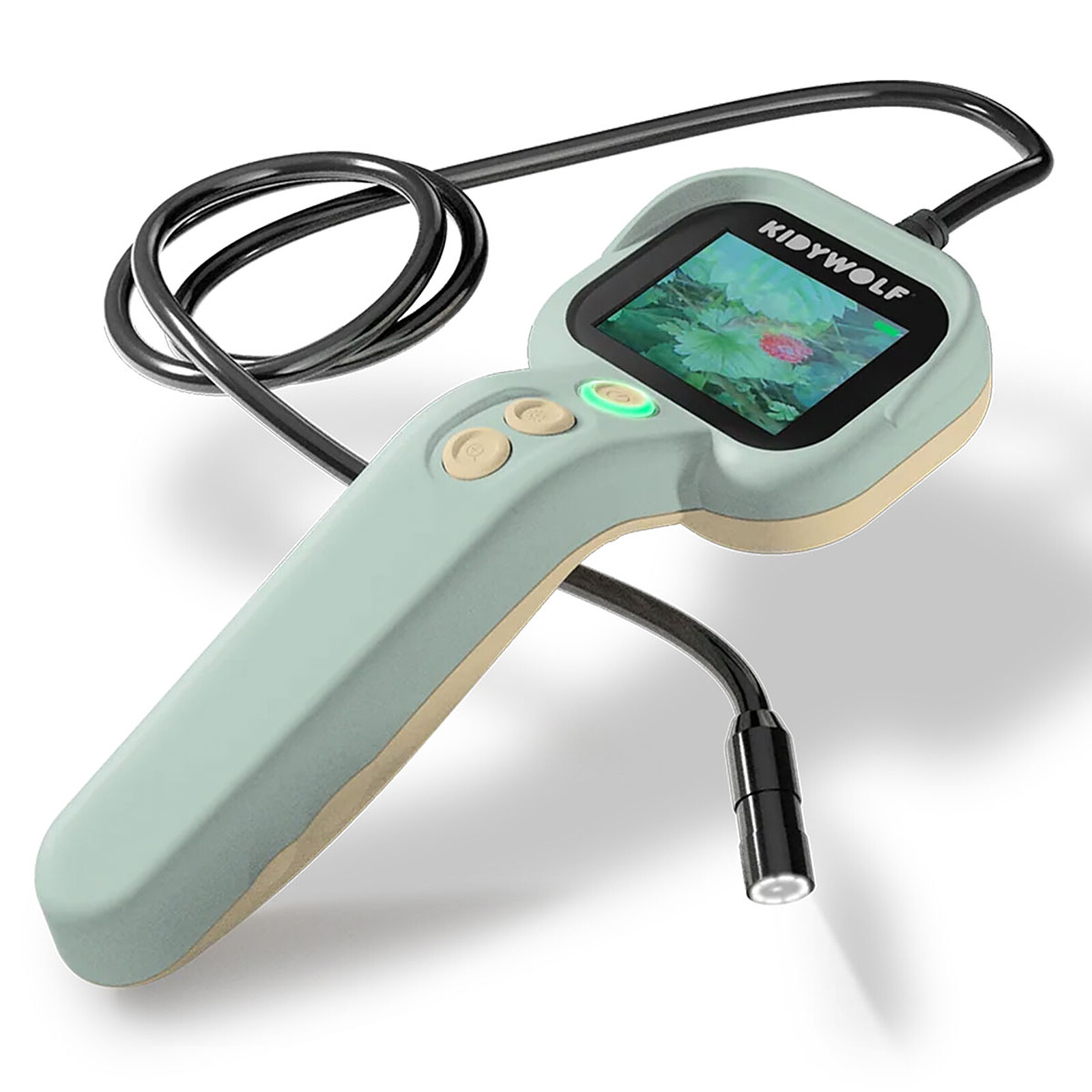 Endoscope Kidyexplore Kidywolf