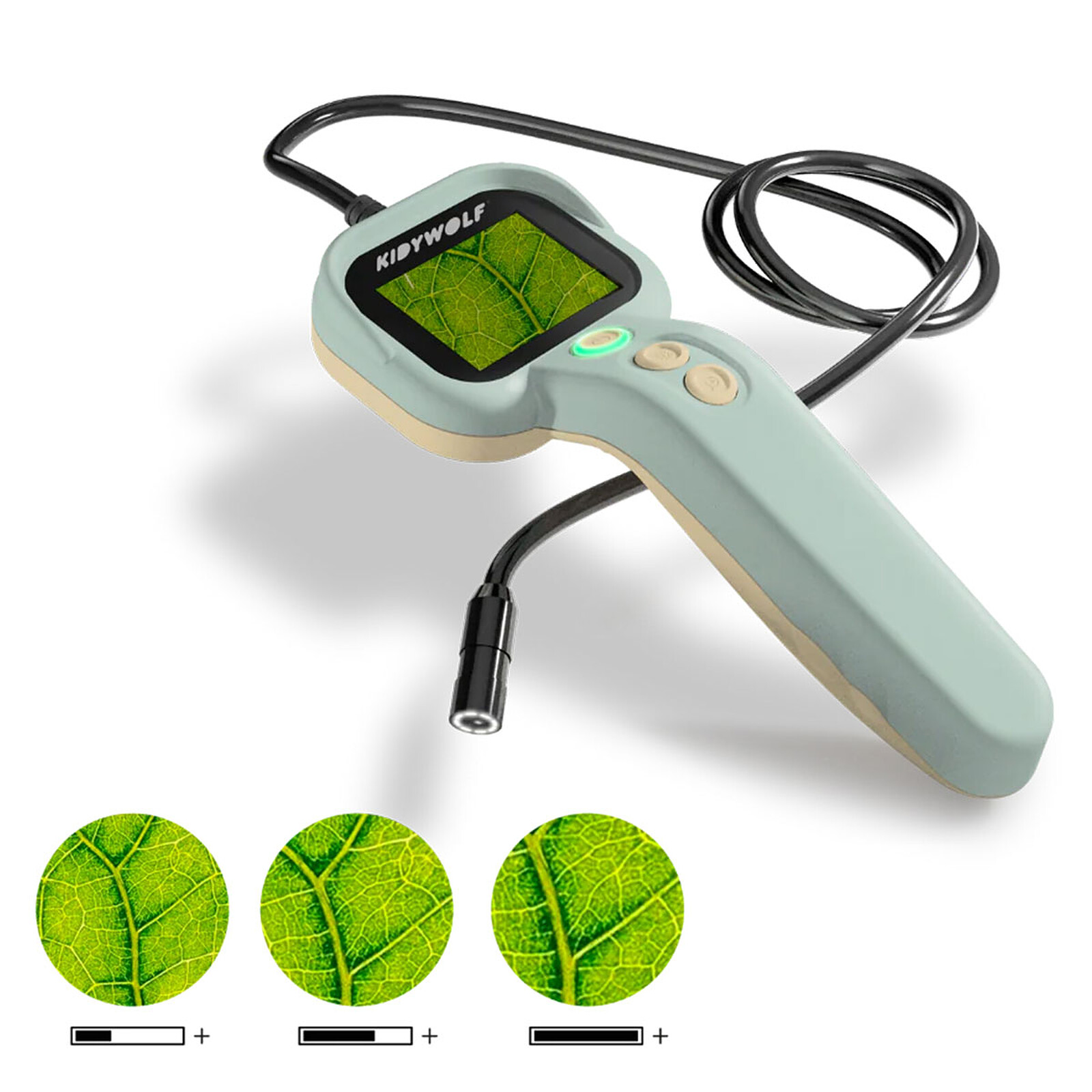 Endoscope Kidyexplore Kidywolf