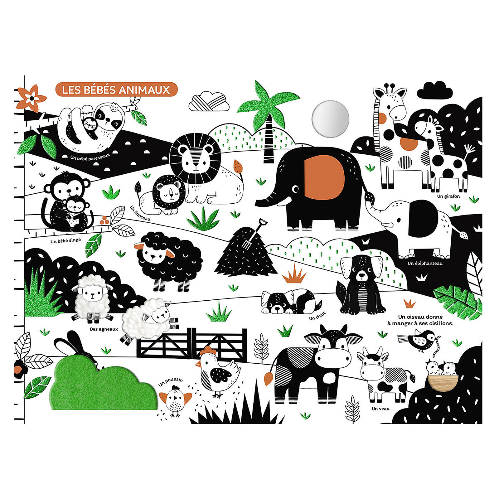 Mon Très Grand Livre d'Eveil - En Noir et Blanc Auzou