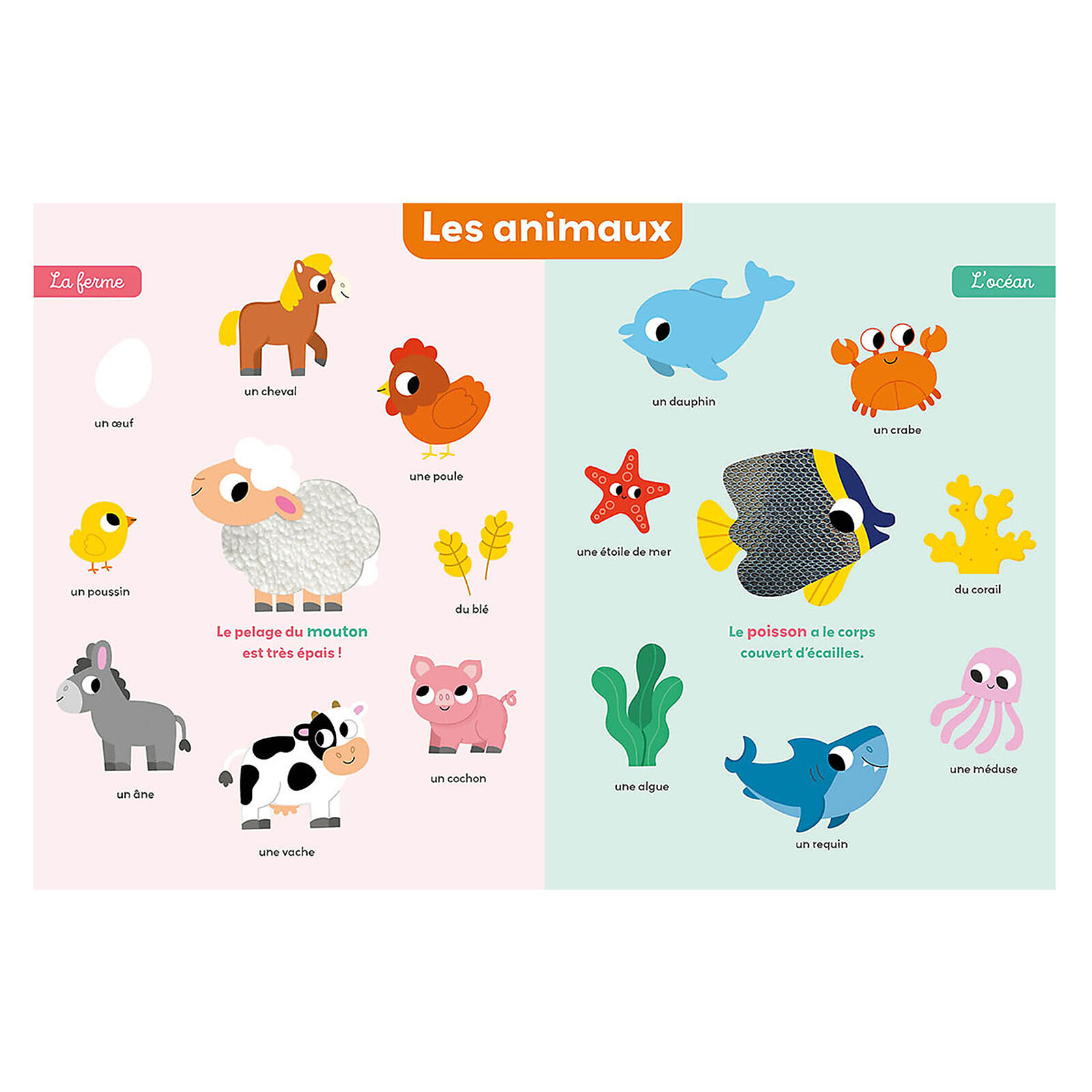 Mon Premier Imagier à Toucher Auzou