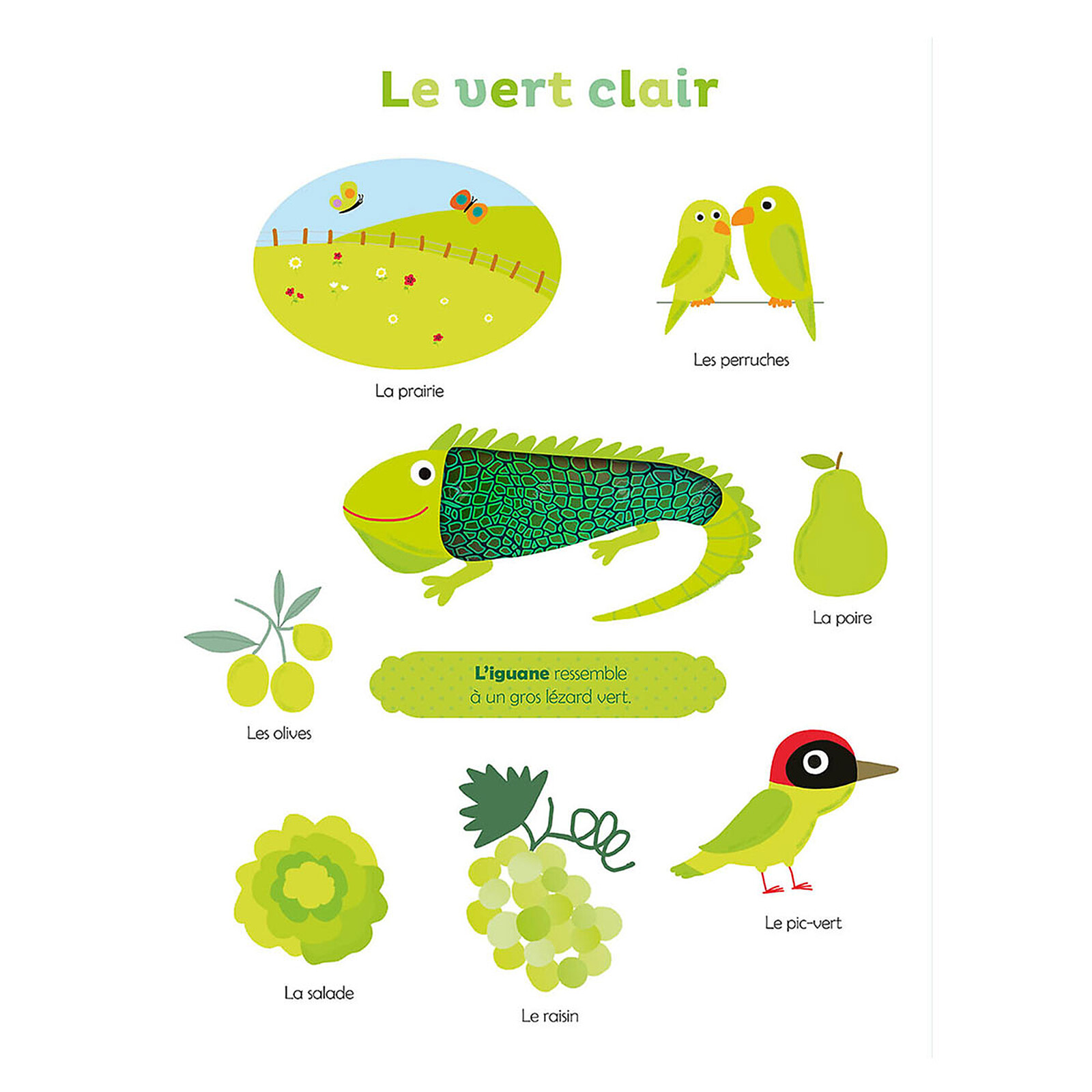 Mes Premières Couleurs à Toucher  Auzou