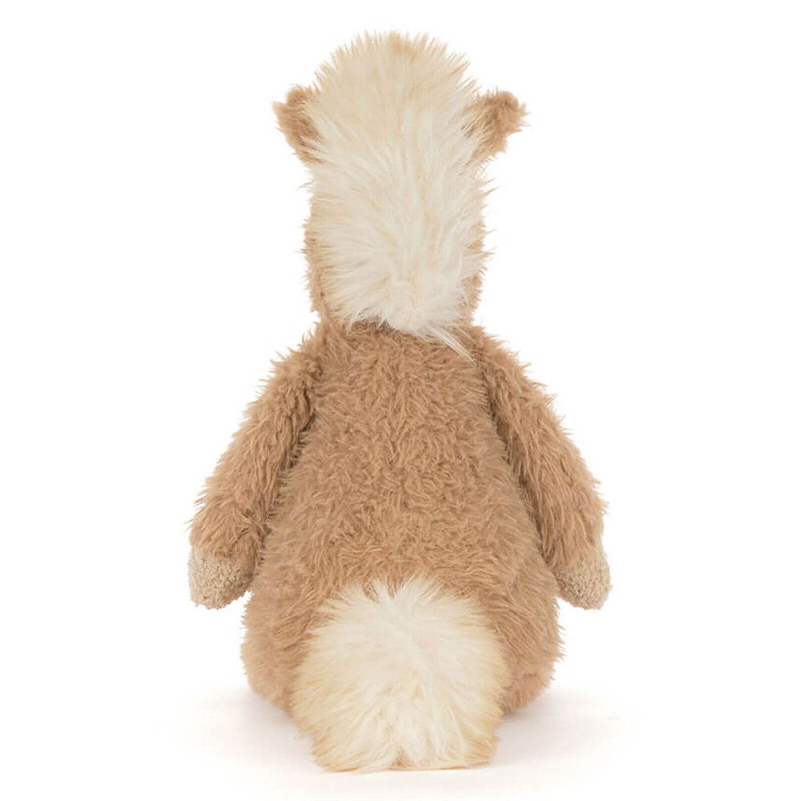 Avis Canterneigh Pony