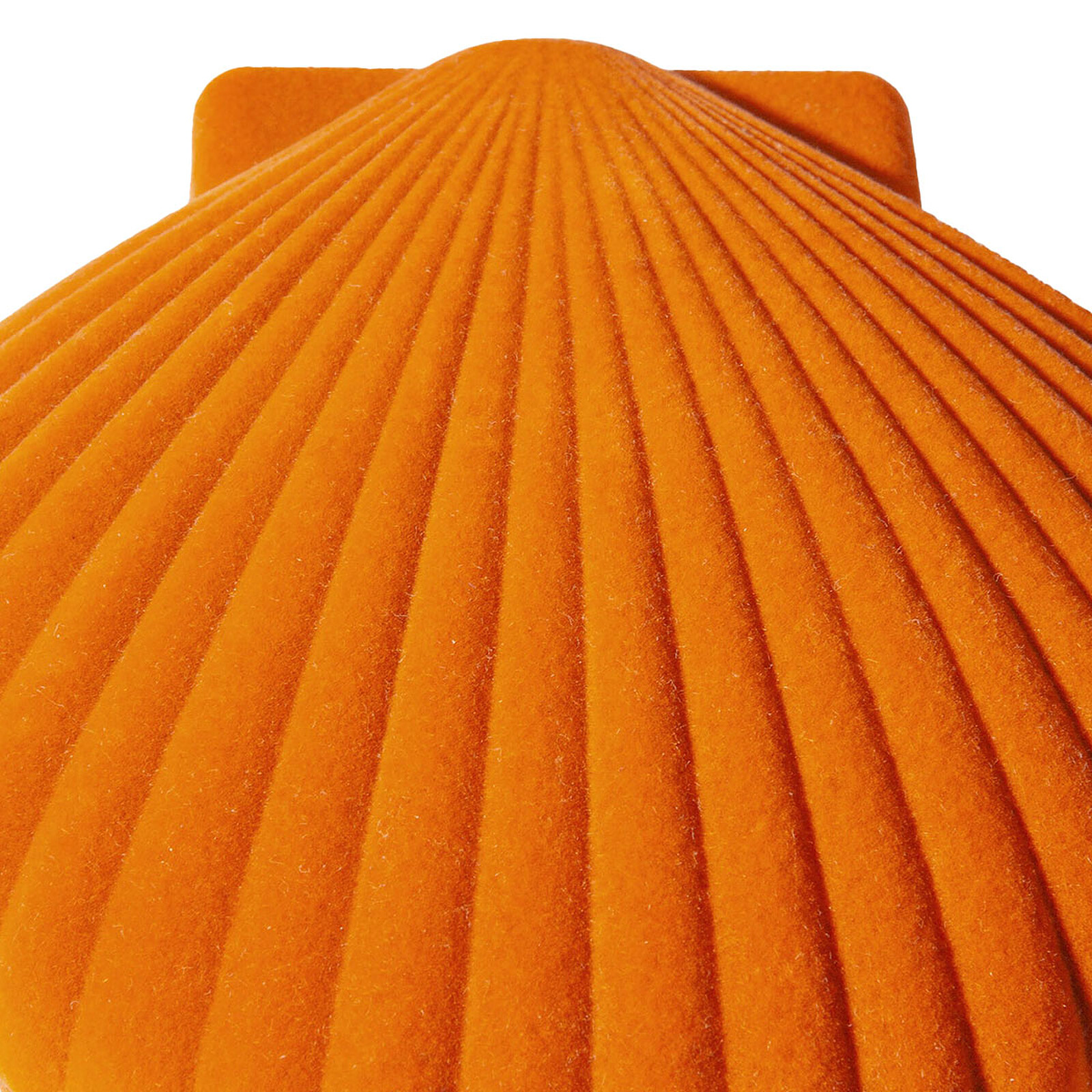 Achat Boîte à Bijoux Coquillage Venus - Orange