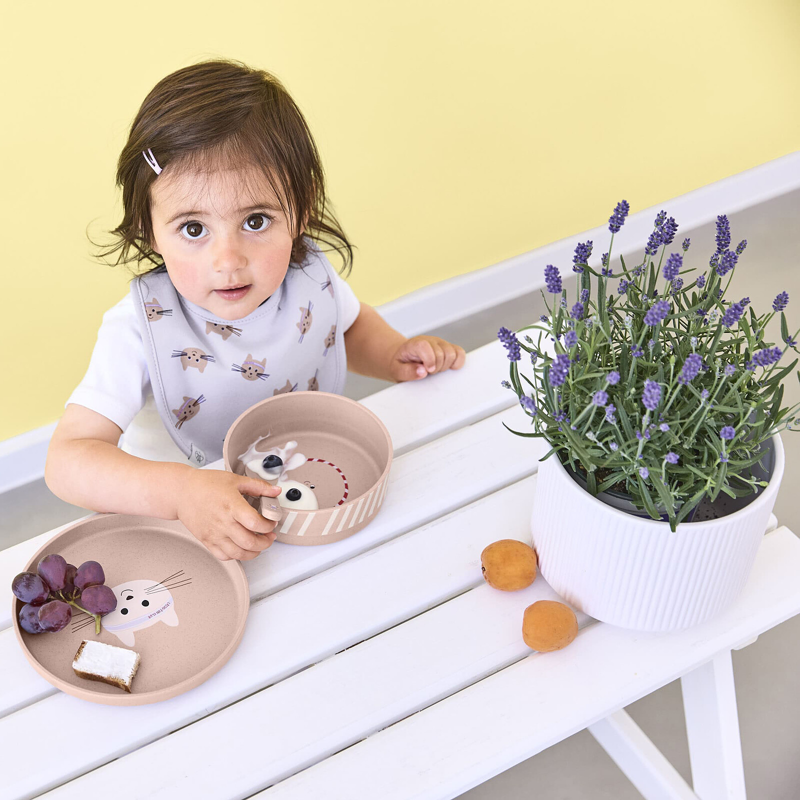 Lot de 5 Bavoirs Eponge Tiny Team Chat - 3/18 Mois pas cher