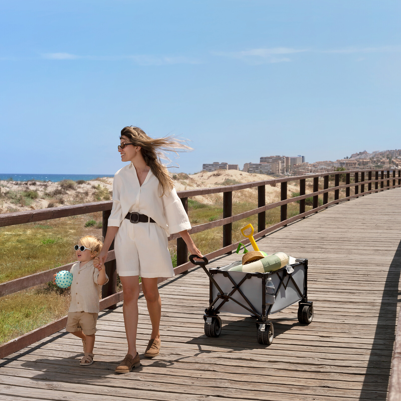 Avis Chariot ROLLSTER - Gris