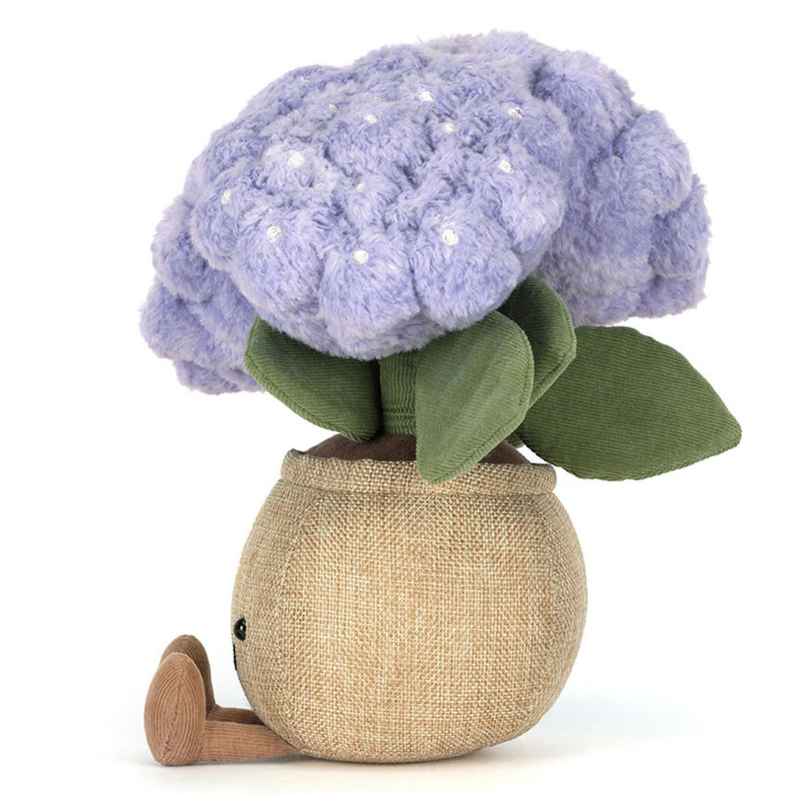 Avis Amuseables Hydrangea