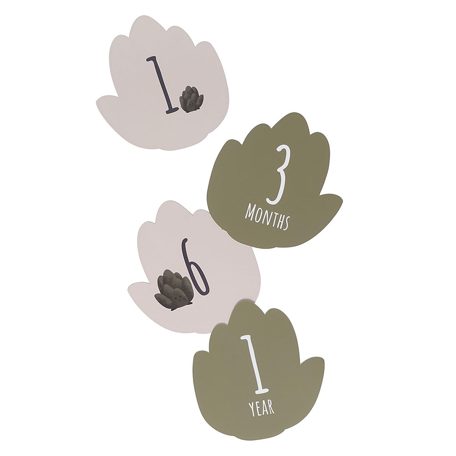 Coffret Naissance - Petit Artichaut pas cher