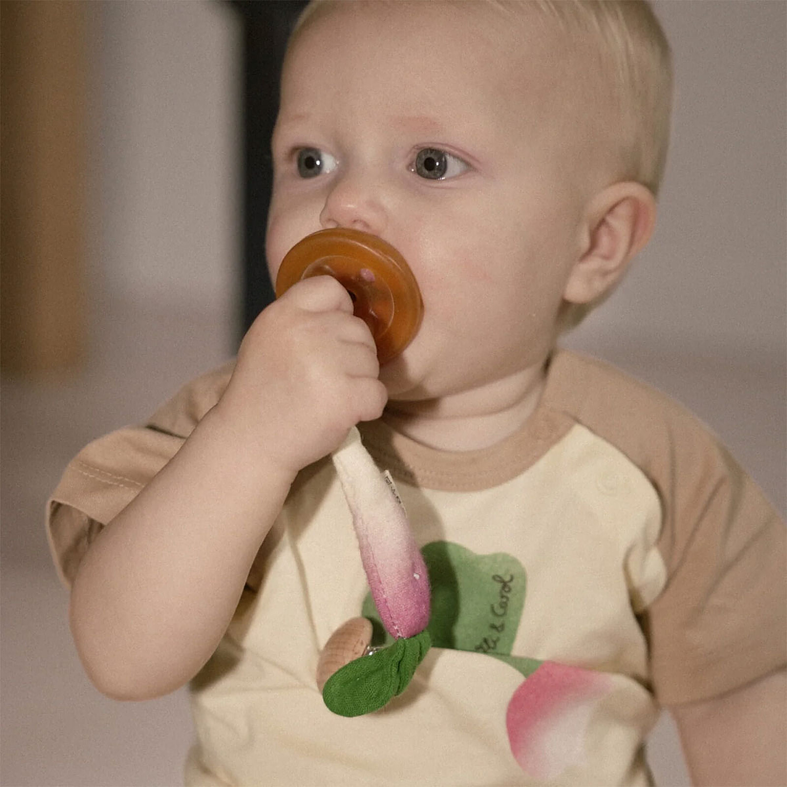 Avis Attache Tétine - Ramona le Radis