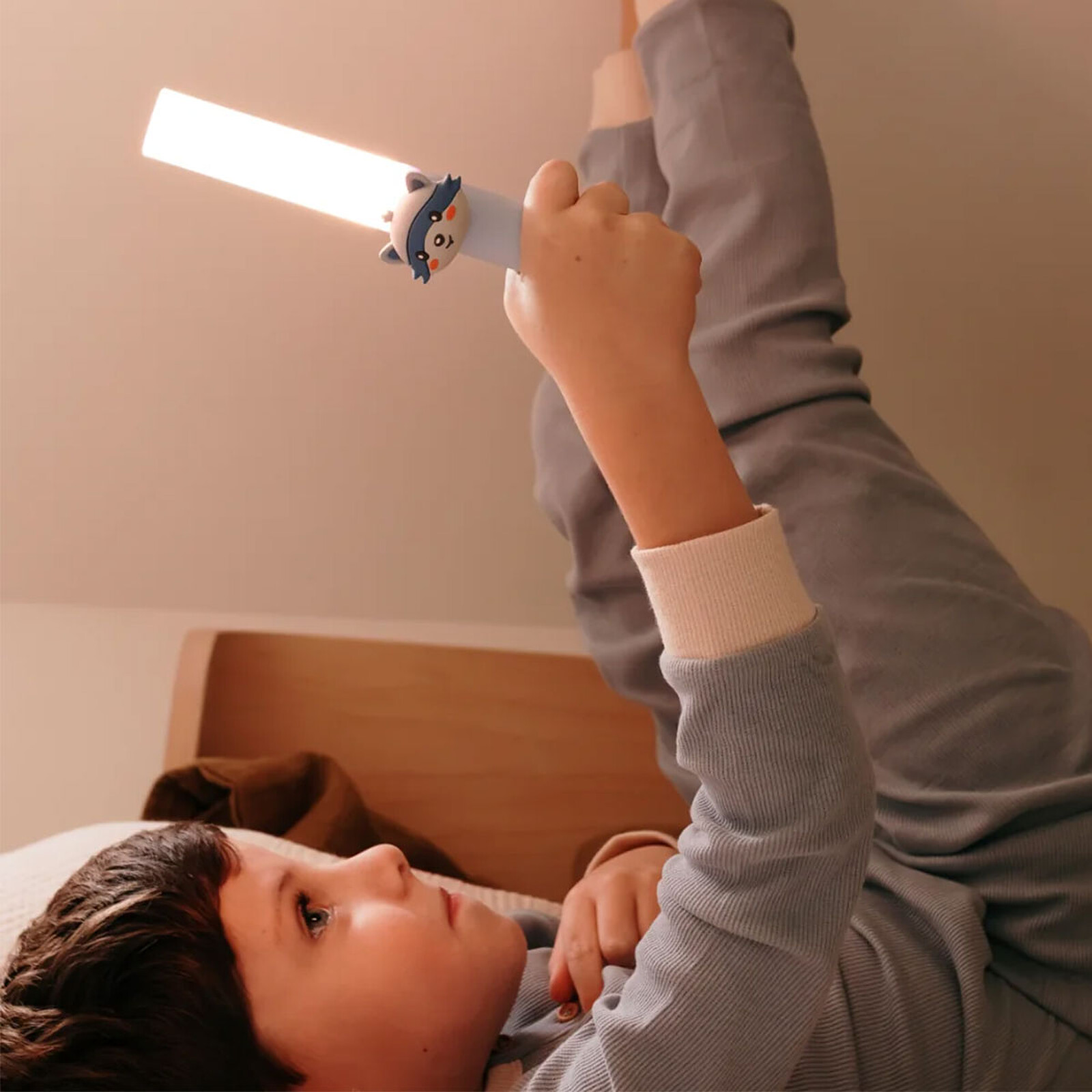 Avis Lampe Torche Zoo Light - Raton Laveur 