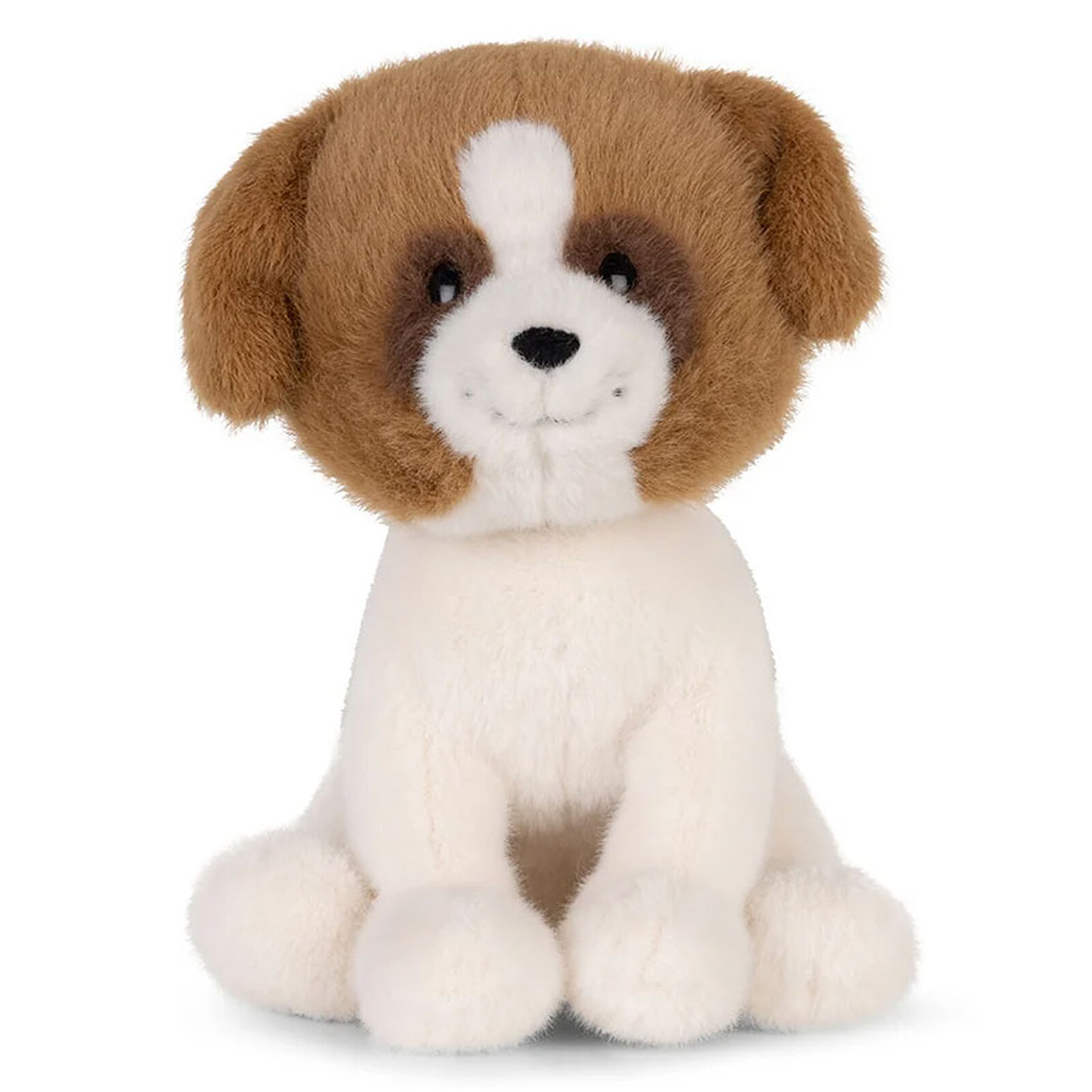 Herman le Saint-Bernard B.T. Chaps