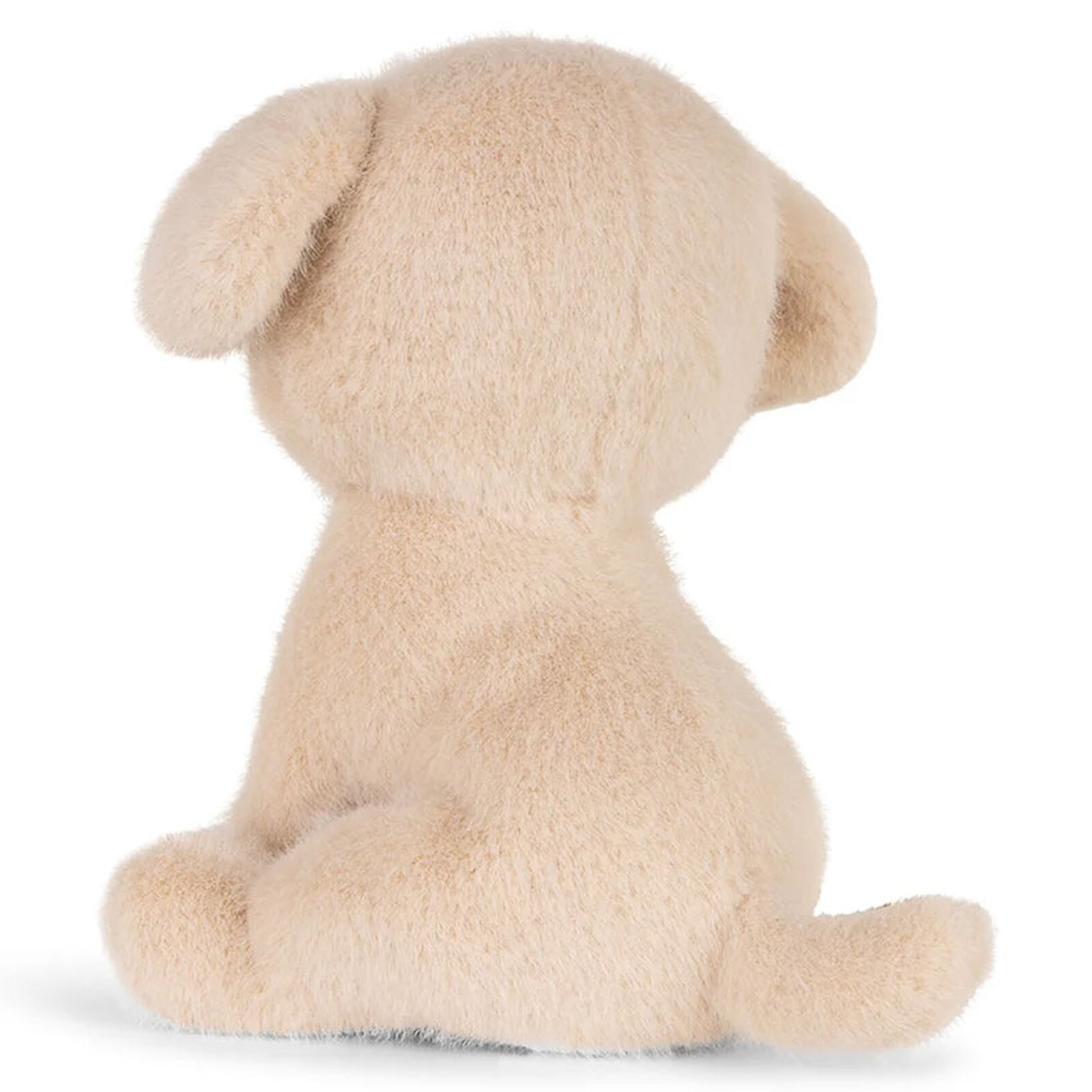 Avis Loulou le Labrador