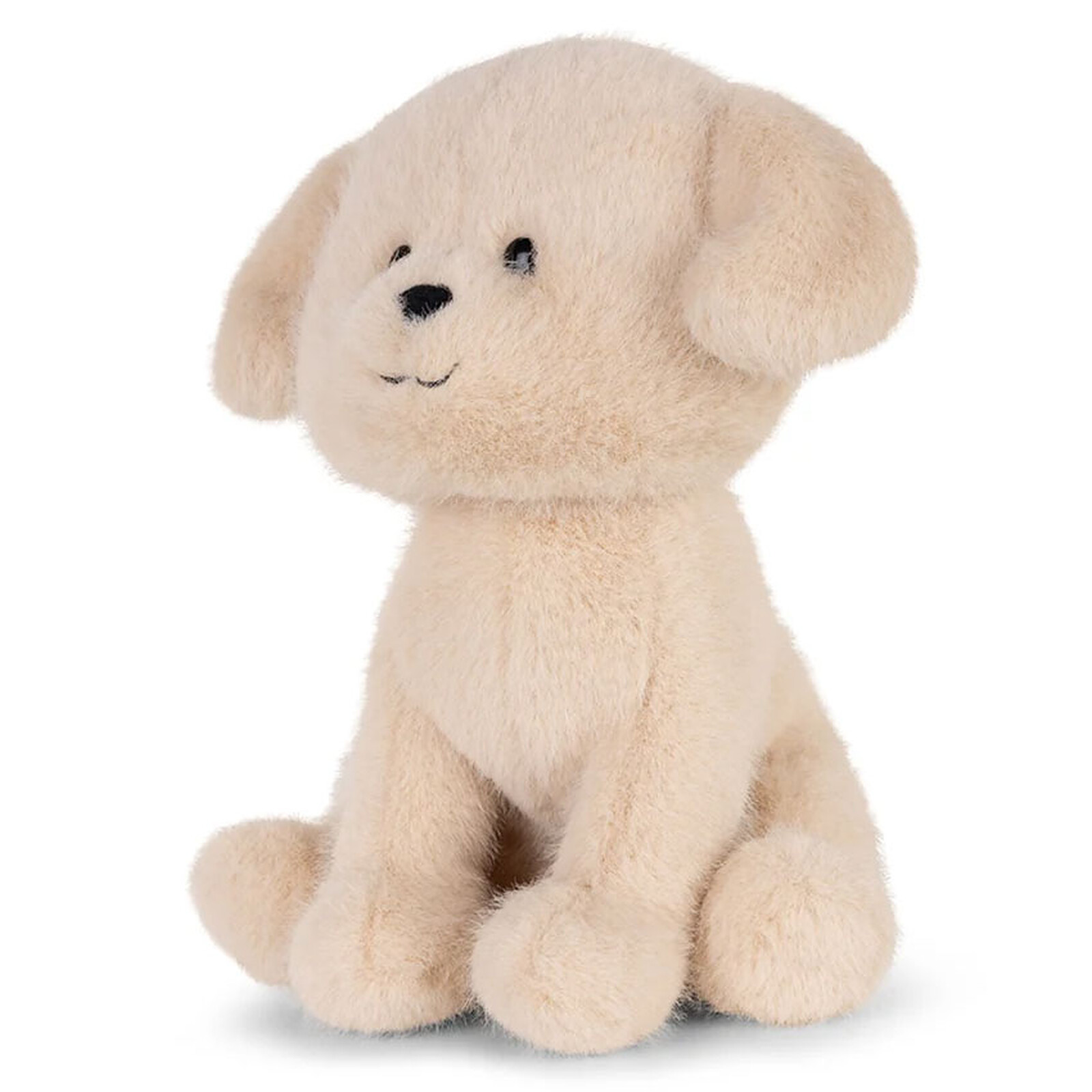 Loulou le Labrador B.T. Chaps