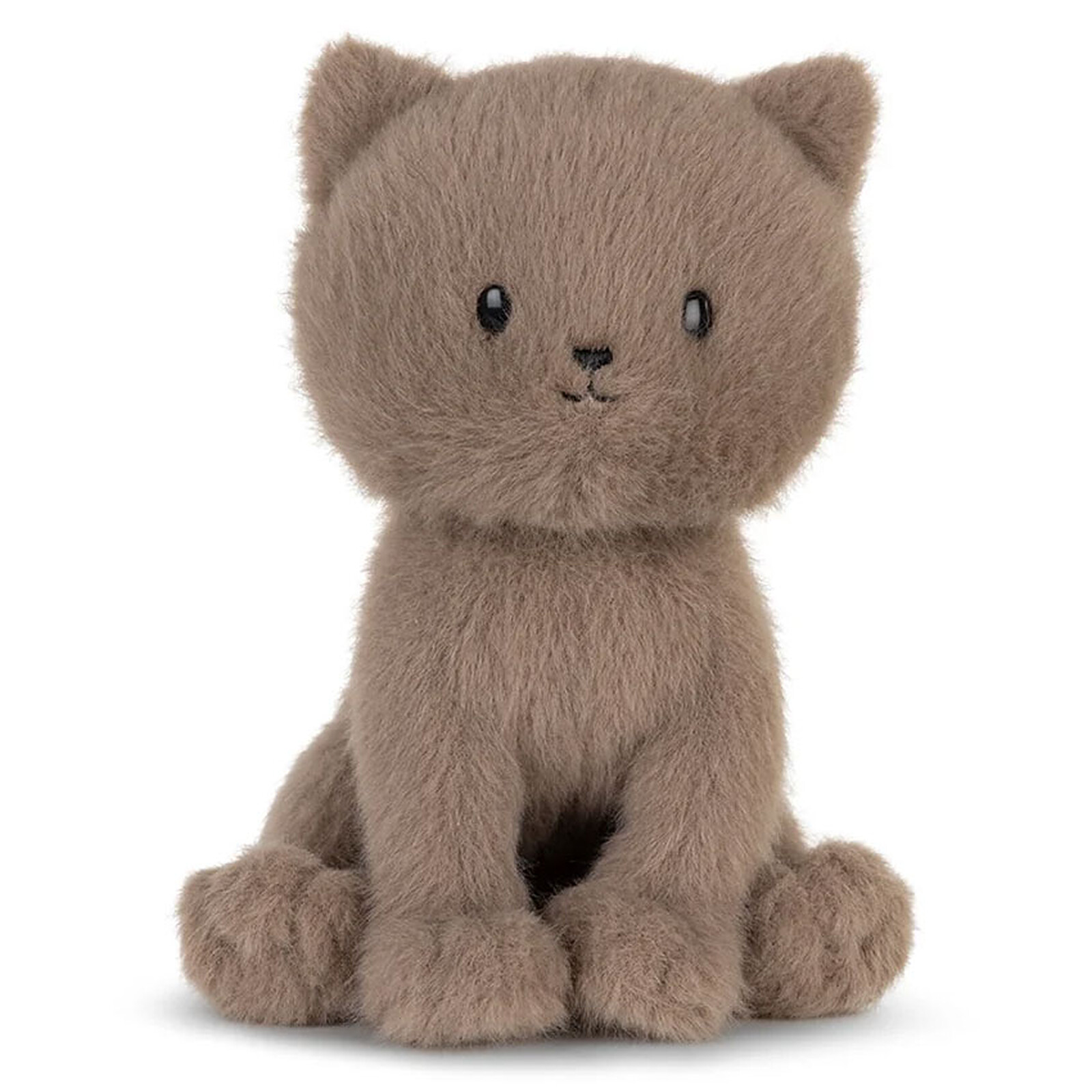Freddy le British Shorthair avec Boîte Cadeau B.T. Chaps