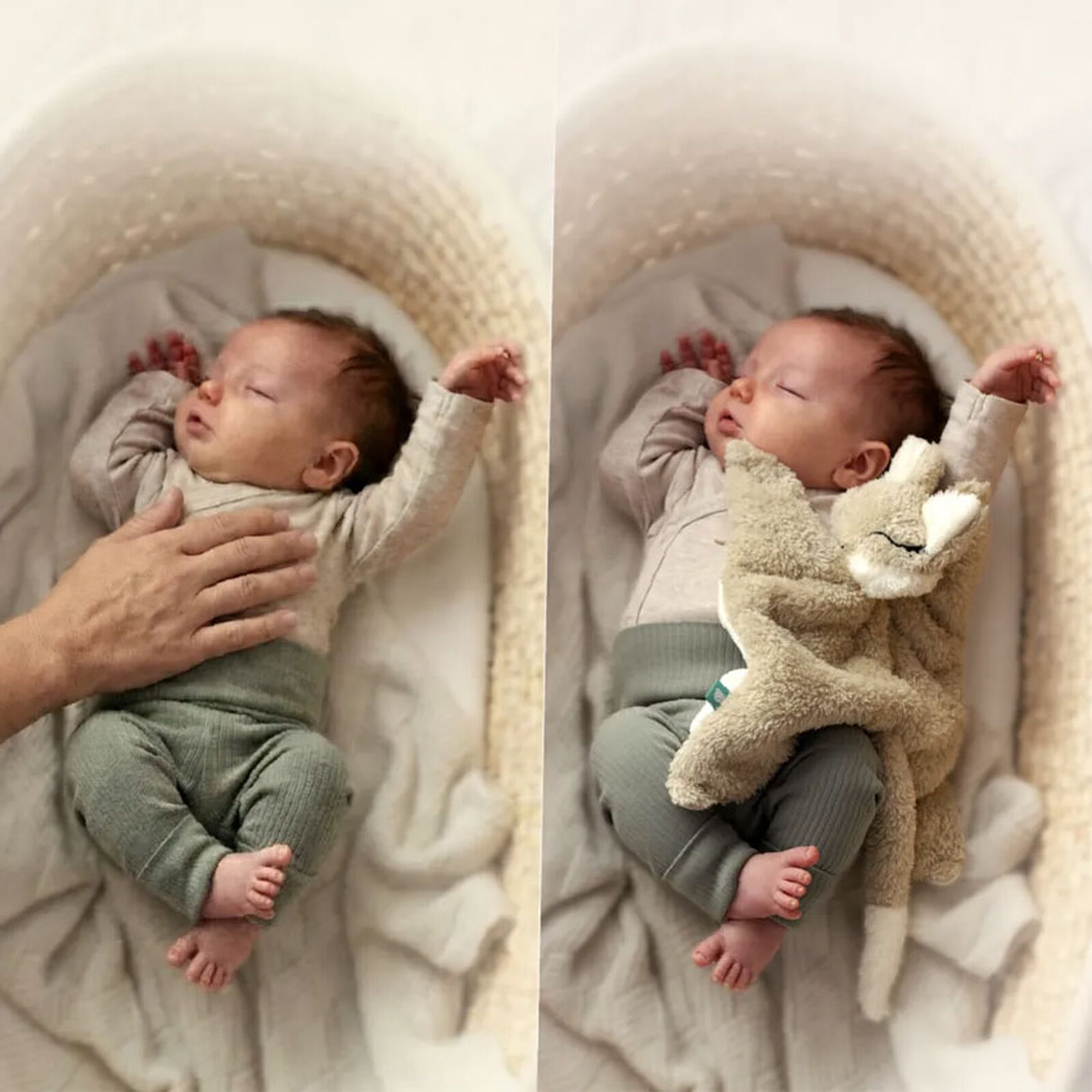 Doudou Lesté Bouillotte Sèche Renard myHummy