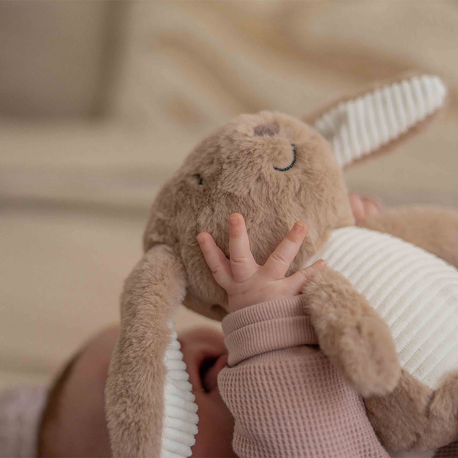 Peluche