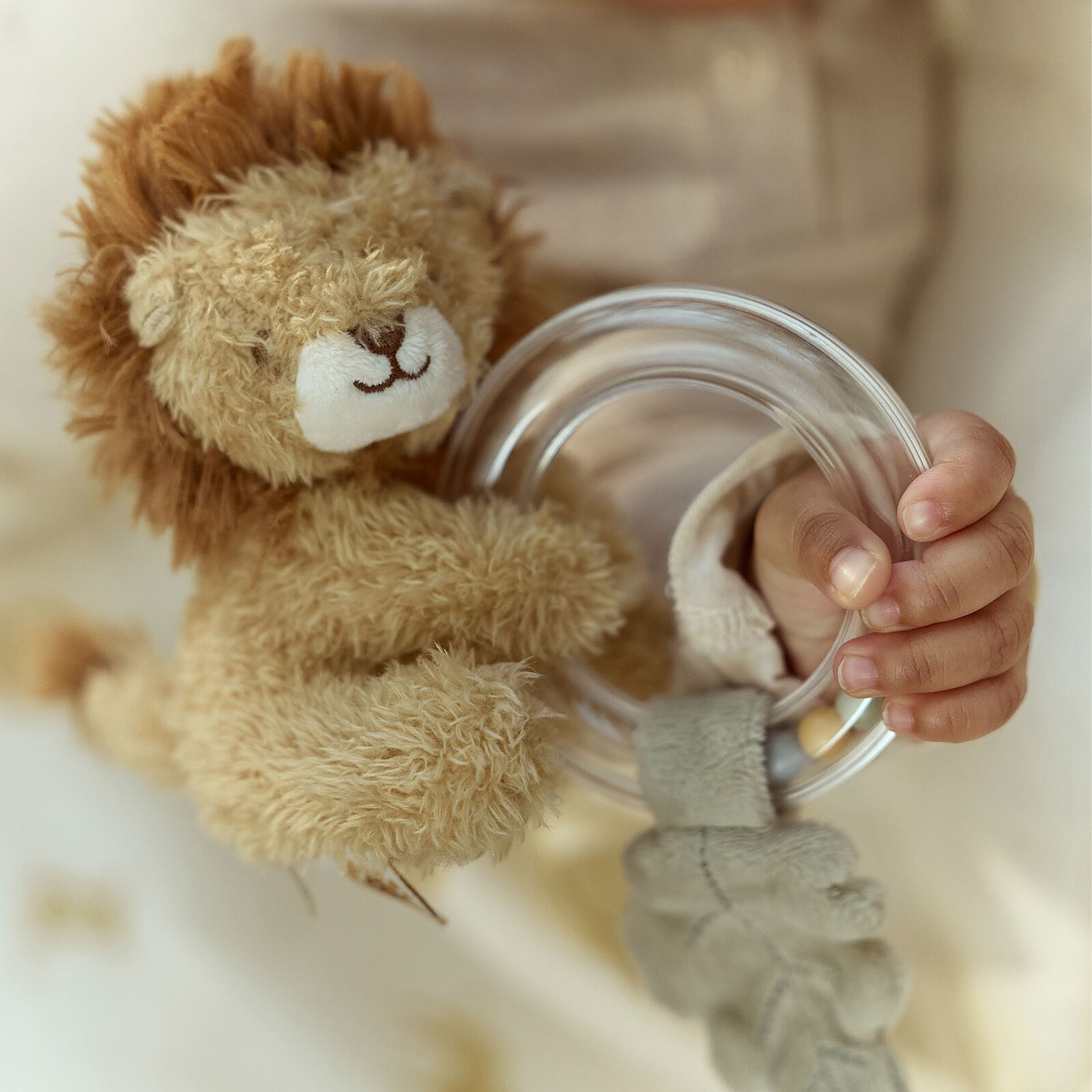 Avis Hochet Lion - Safari Friends