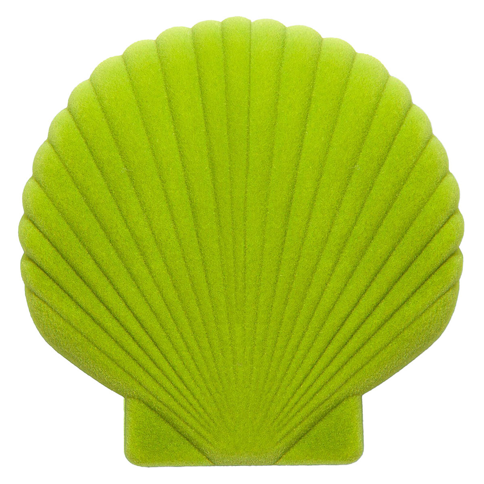 Boîte à Bijoux Coquillage Venus - Light Green  DOIY