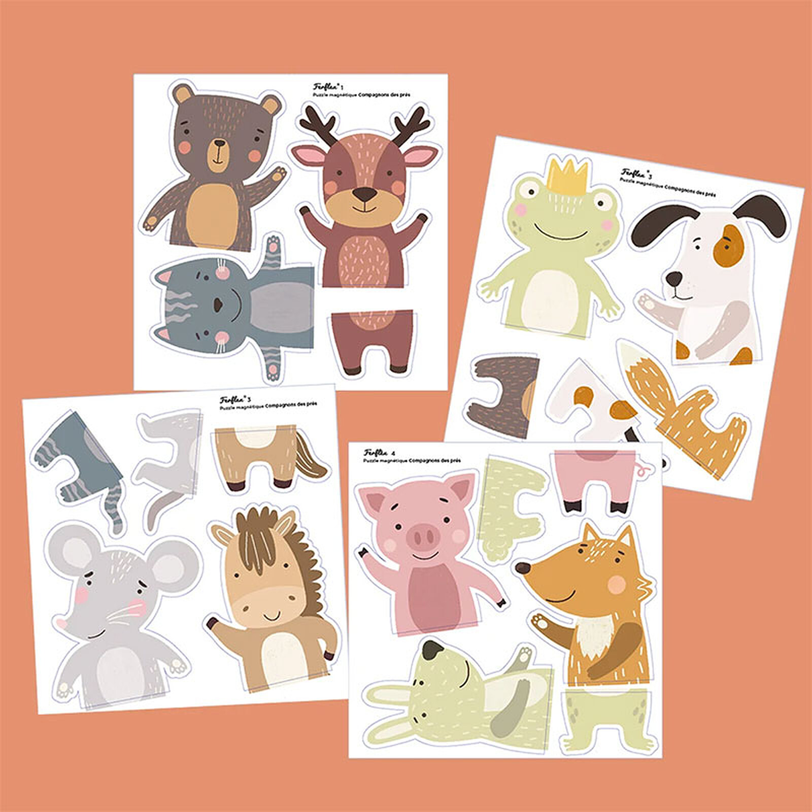 Puzzle Magnétique - Compagnons des Prés Ferflex