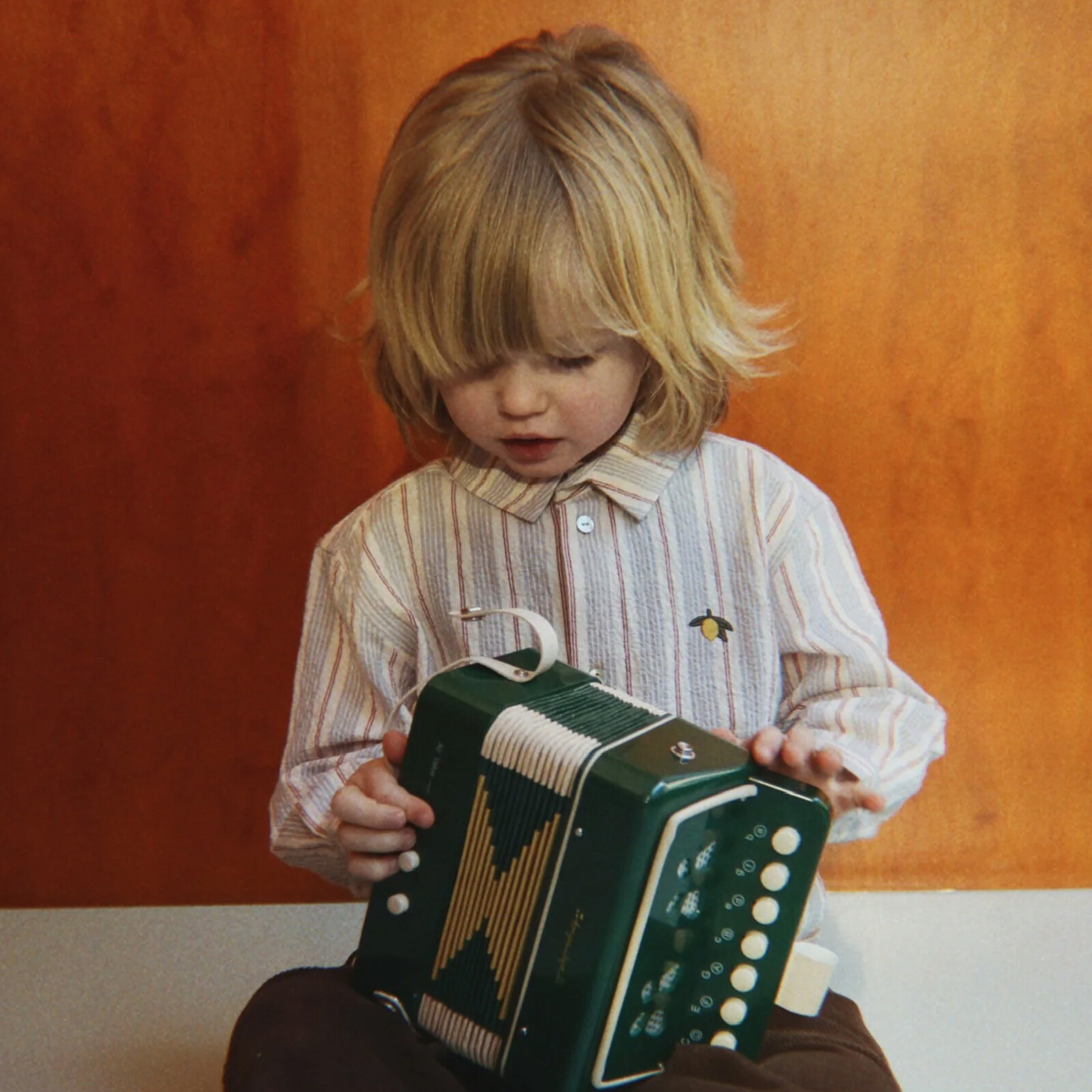 Avis Accordéon - Green