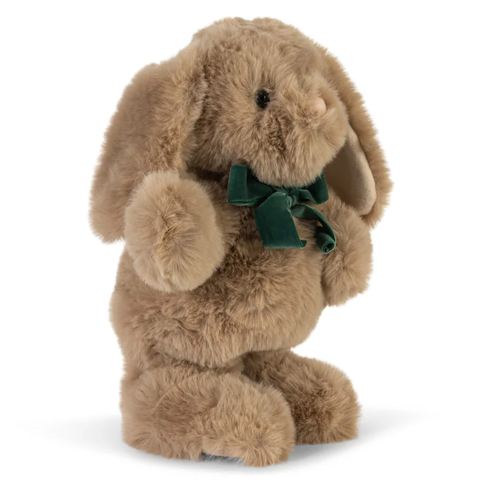 Peluche