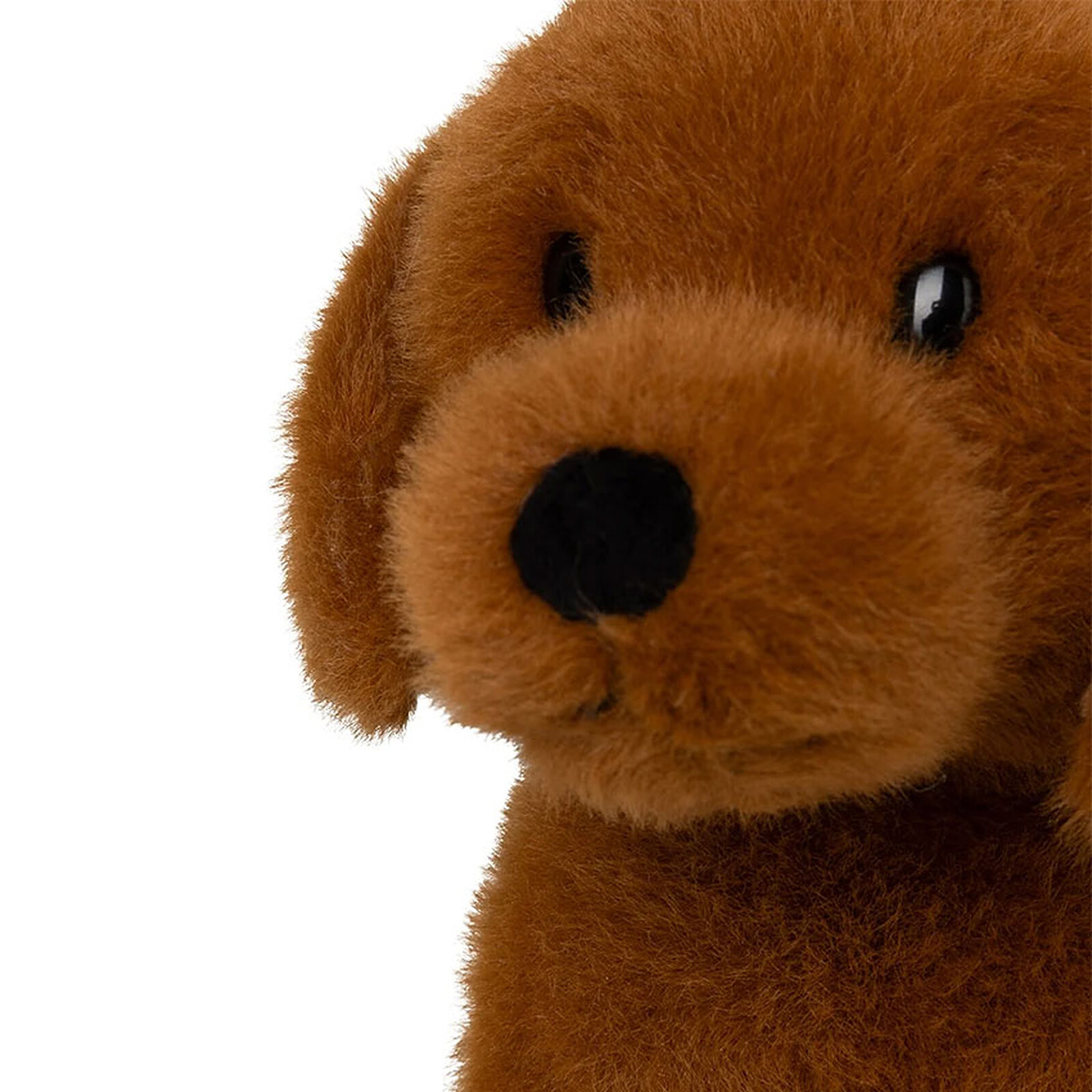 Avis Dax le Chien 