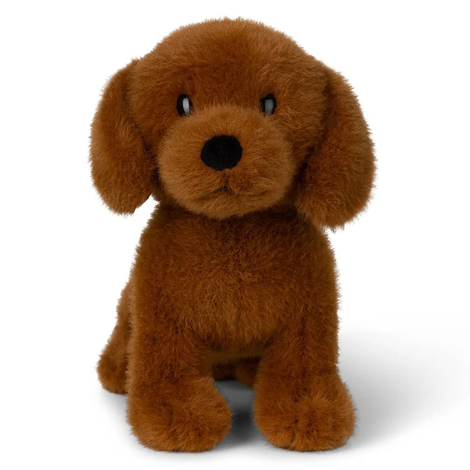 Peluche
