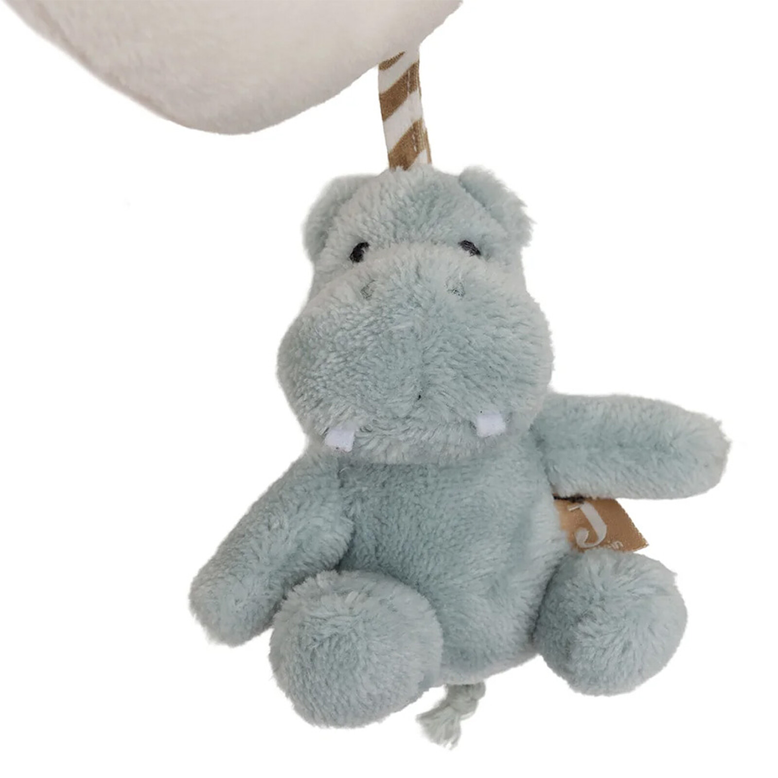 Achat Spirale d'Activité - Jollies