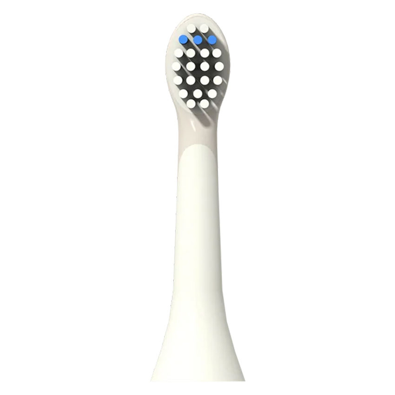 Lot de 2 Têtes de Brosse à Dents Electrique  The Zoofamily