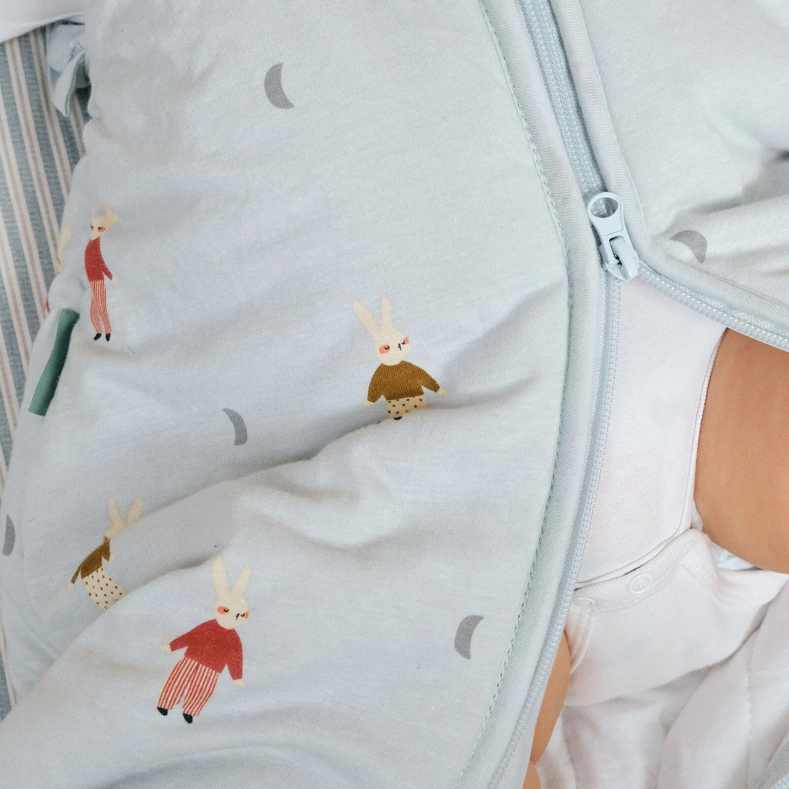 Avis Gigoteuse Hiver avec Manches Amovibles Sleepy Bunnies - 6/12 Mois