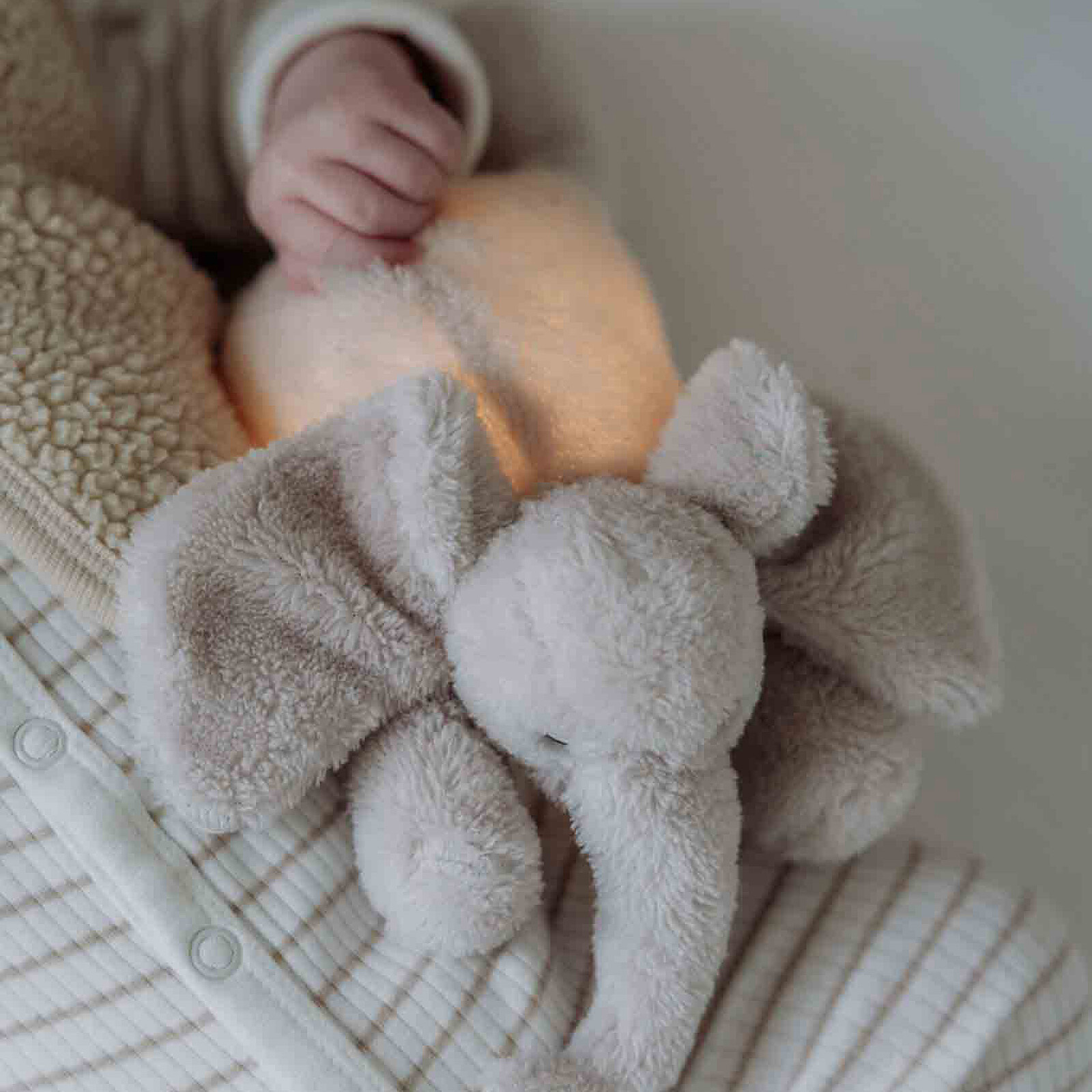 Peluche