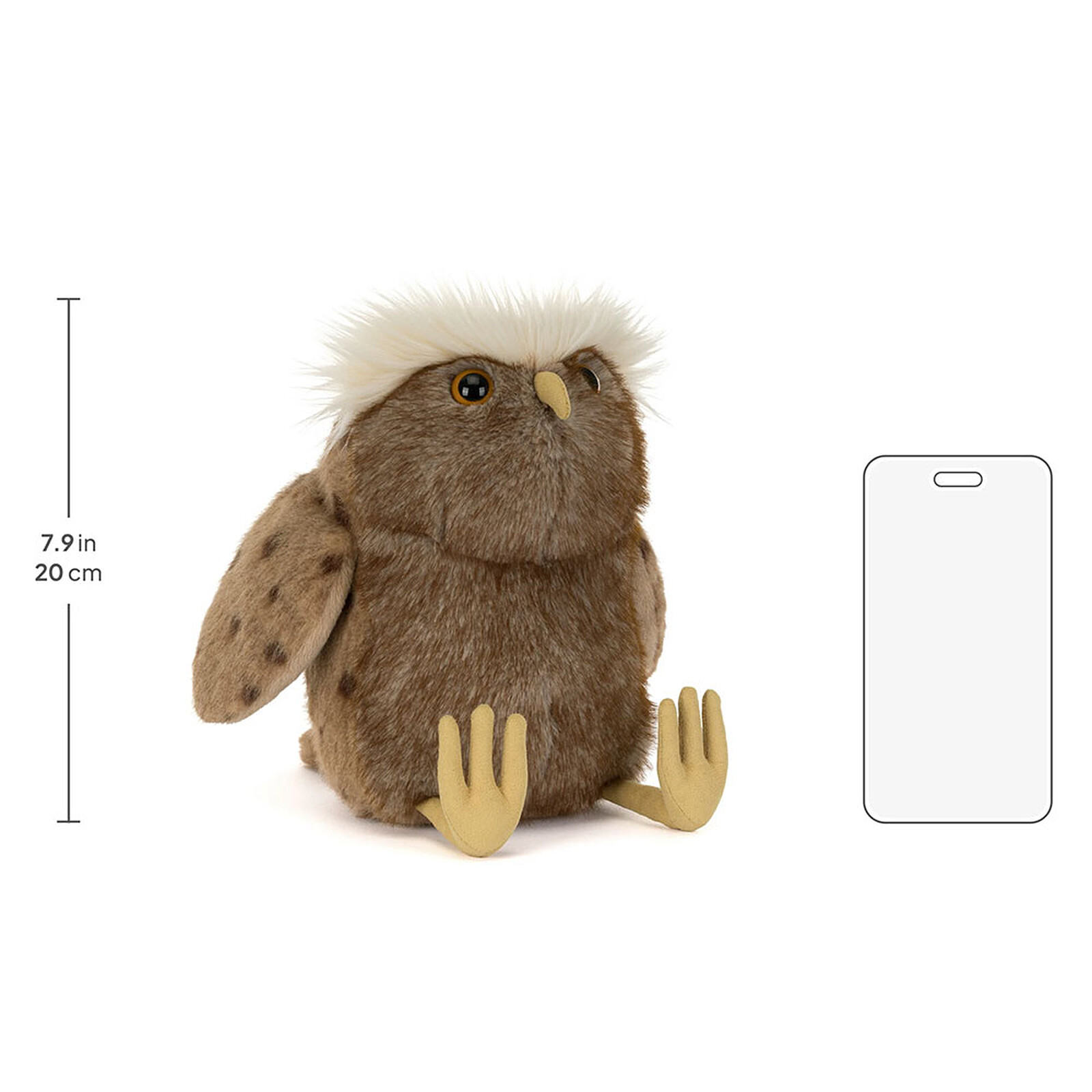 Avis Tawoola Owl