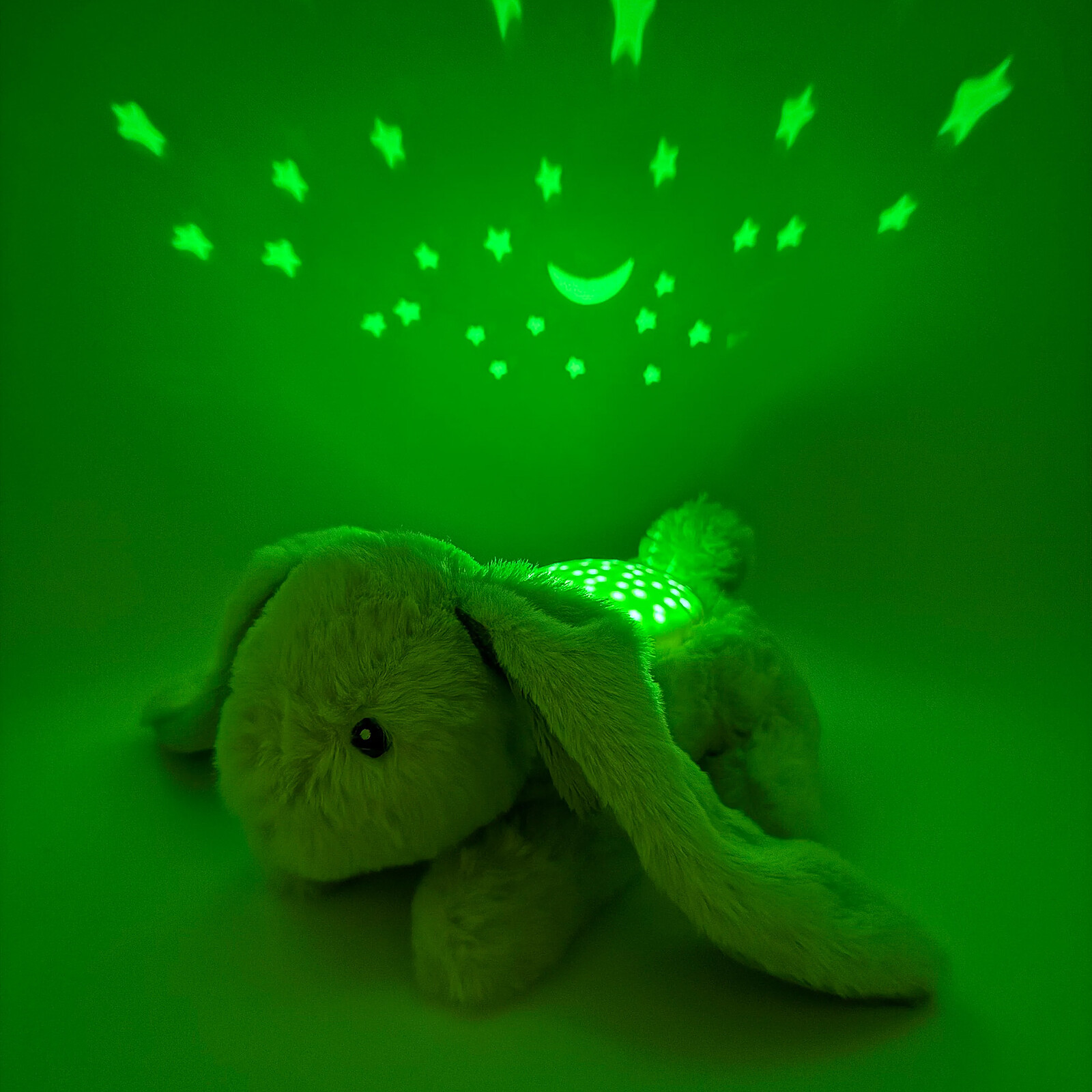 Peluche